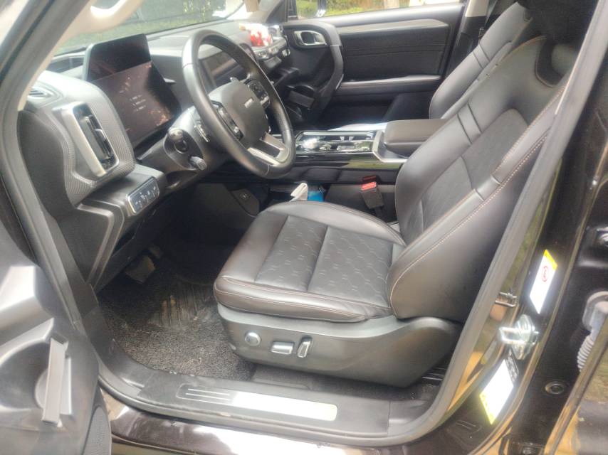 Haval Dargo 2021 Big Dog 1.5T Border Collie “Wang Cai” Edition foto 5