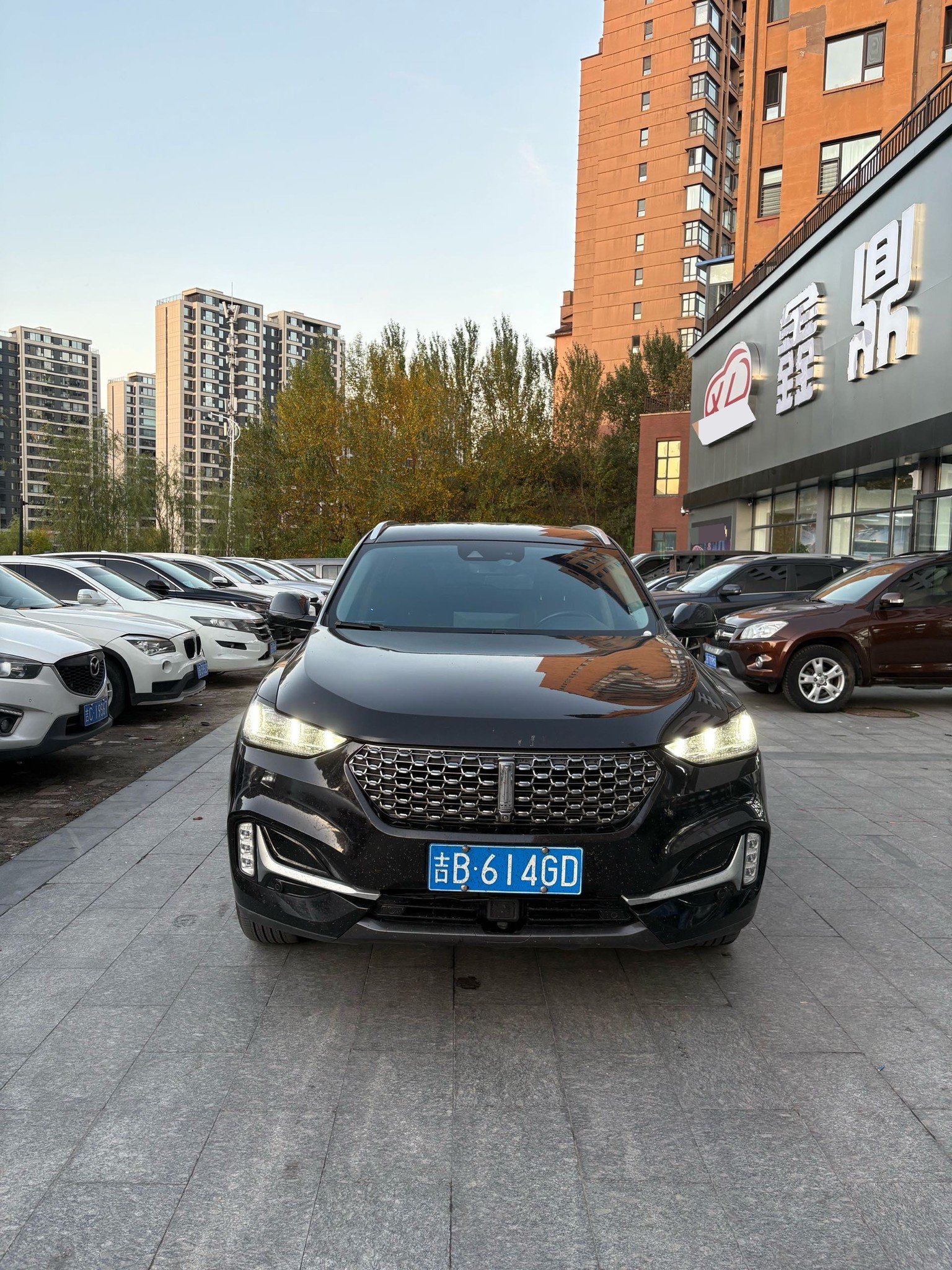 WEY 2021 VV6 2.0T AWD Intelligent Drive+ photo 2