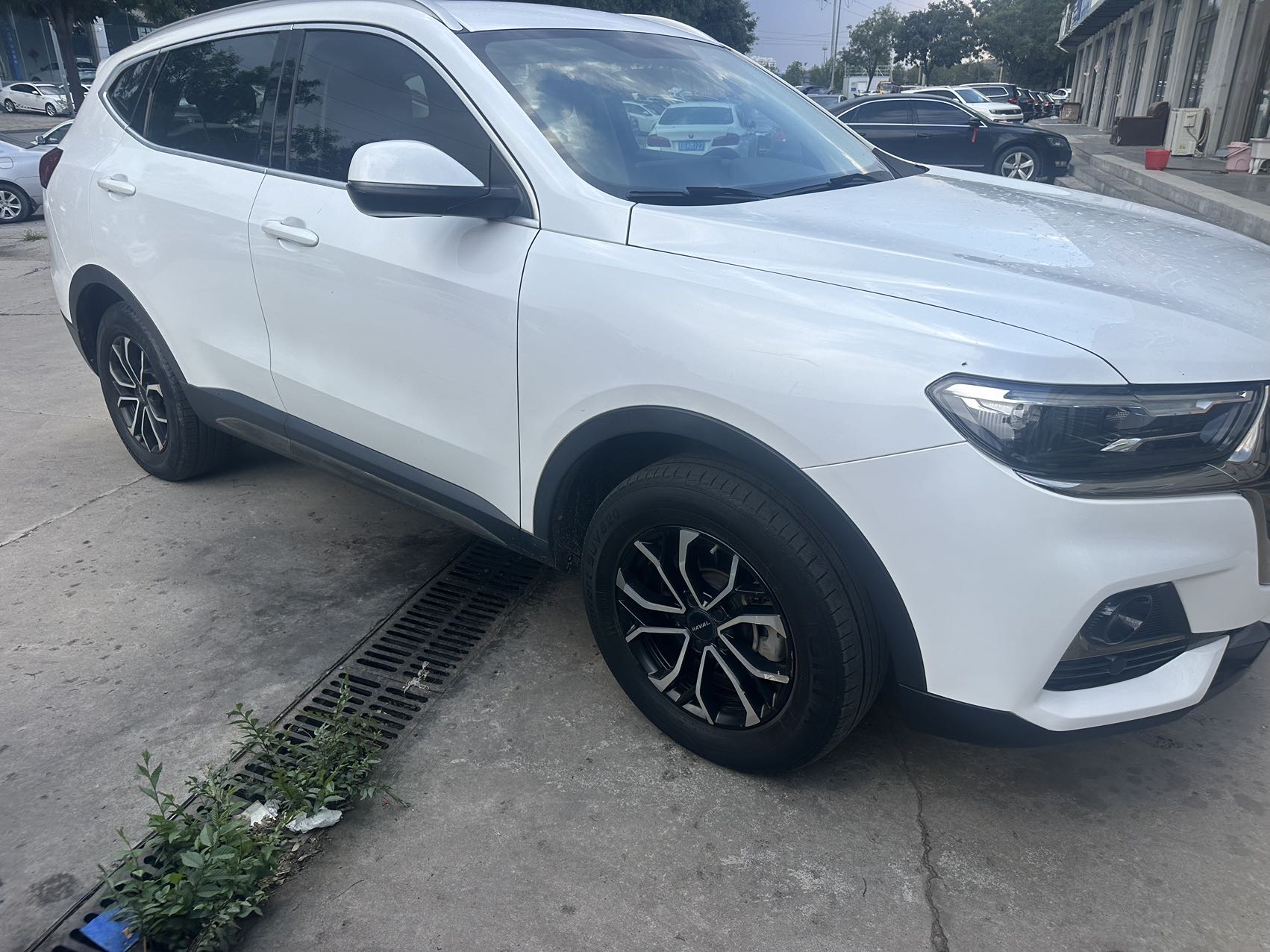 صورة Haval 2021 H6 1.5T National Trend Edition Champion Edition رقم 2