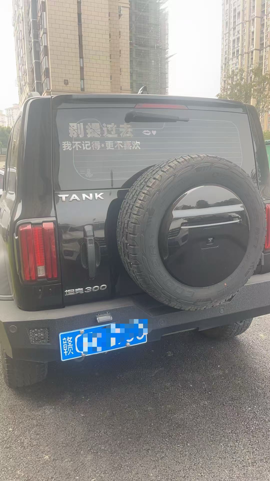 TANK 2021 Tank 300 2.0T Off-Road Edition Conqueror photo 4