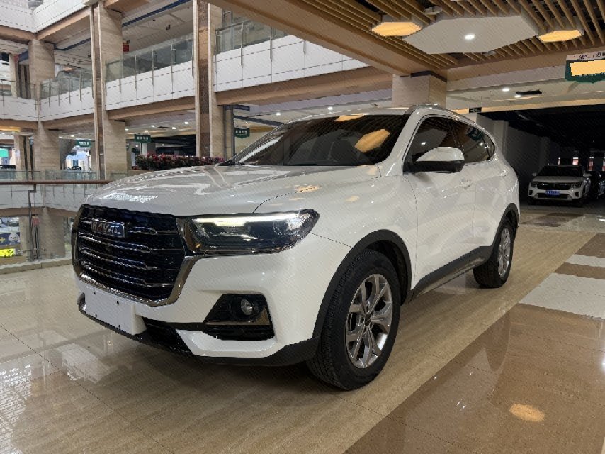 Haval 2021 H6 1.5T National Trend Edition Champion Edition