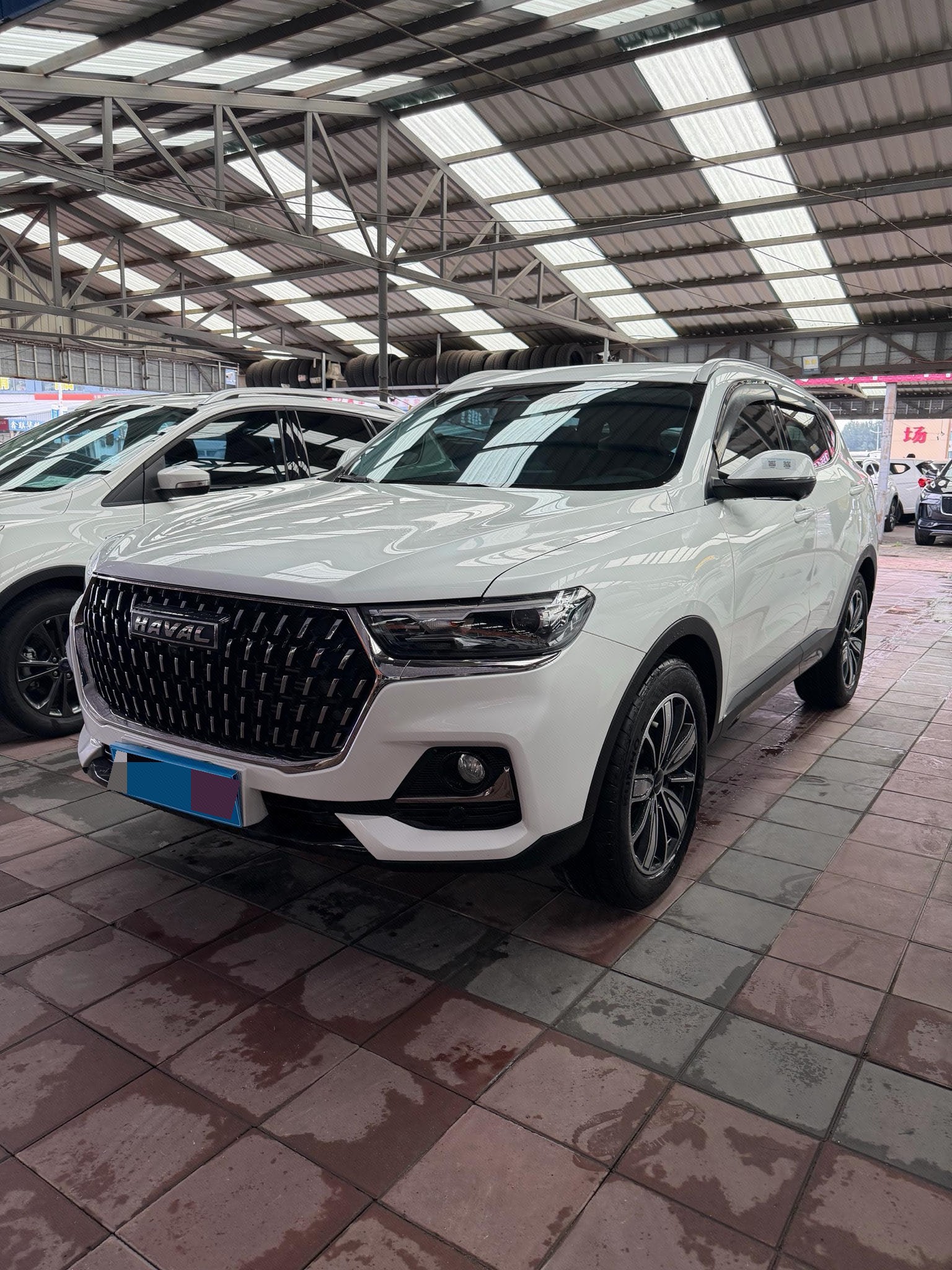 Haval 2023 H6 1.5T National Trend Edition Champion Version