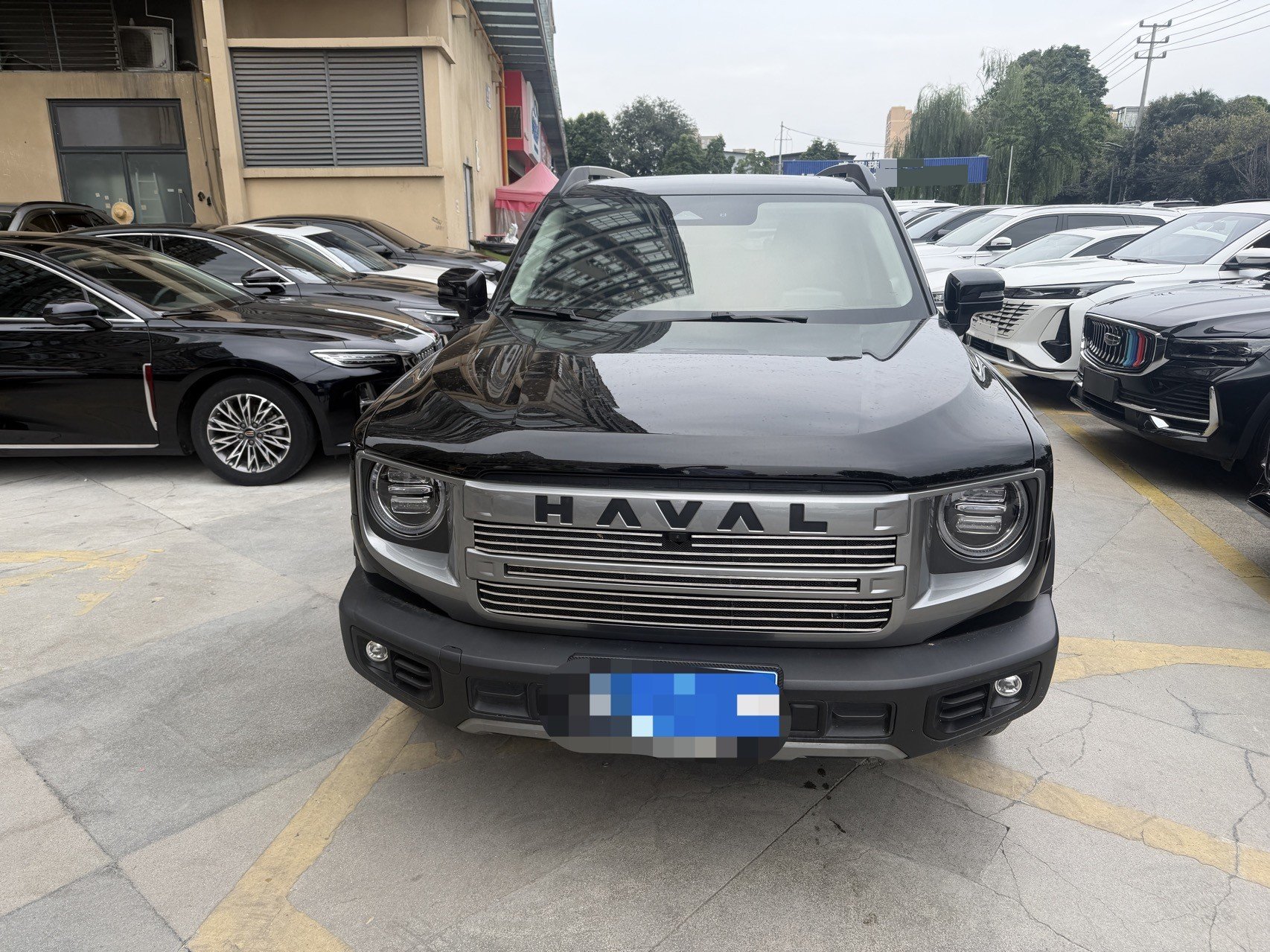 Haval Dargo 2024 Big Dog 1.5T Border Collie Edition photo 2