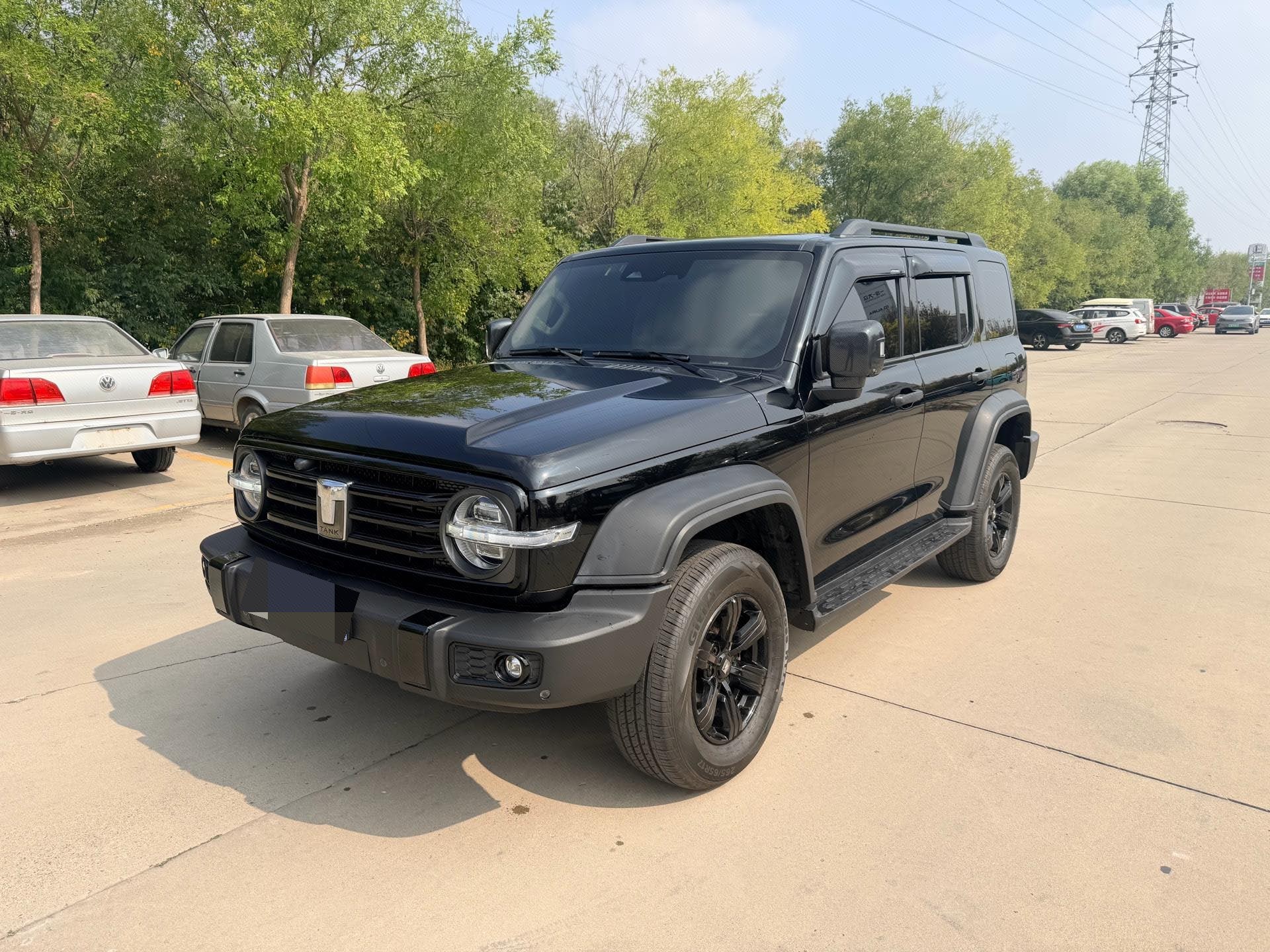 TANK 2021 Tank 300 2.0T Off-Road Edition Conqueror