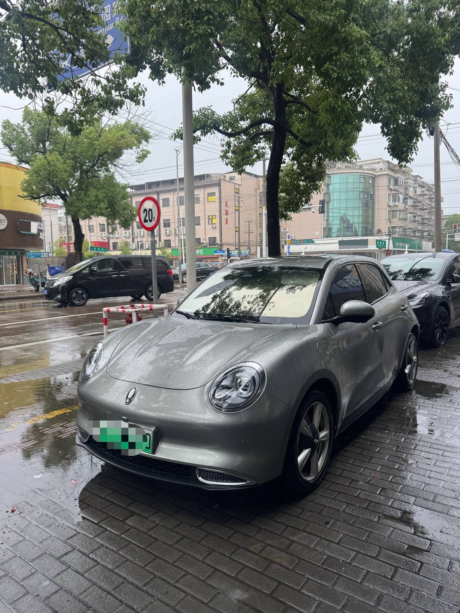 ORA 2022 Ora Good Cat 400km Standard Range Luxury Model with Lithium Iron Phosphate Battery