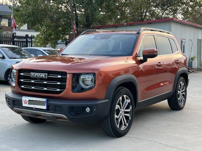 Haval Dargo 2021 Big Dog 1.5T Border Collie “Wang Cai” Edition