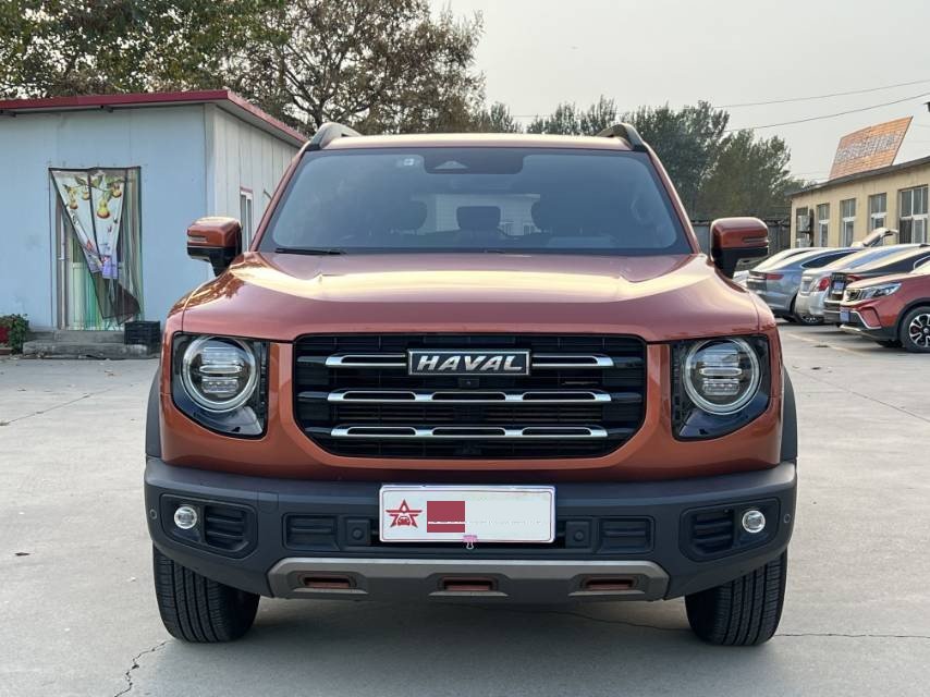 Haval Dargo 2021 Big Dog 1.5T Border Collie “Wang Cai” Edition photo 2