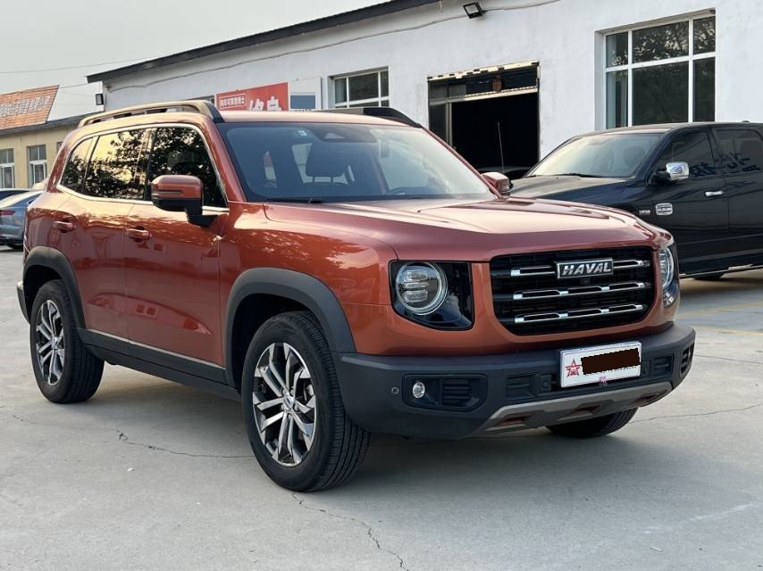 Haval Dargo 2021 Big Dog 1.5T Border Collie “Wang Cai” Edition photo 3