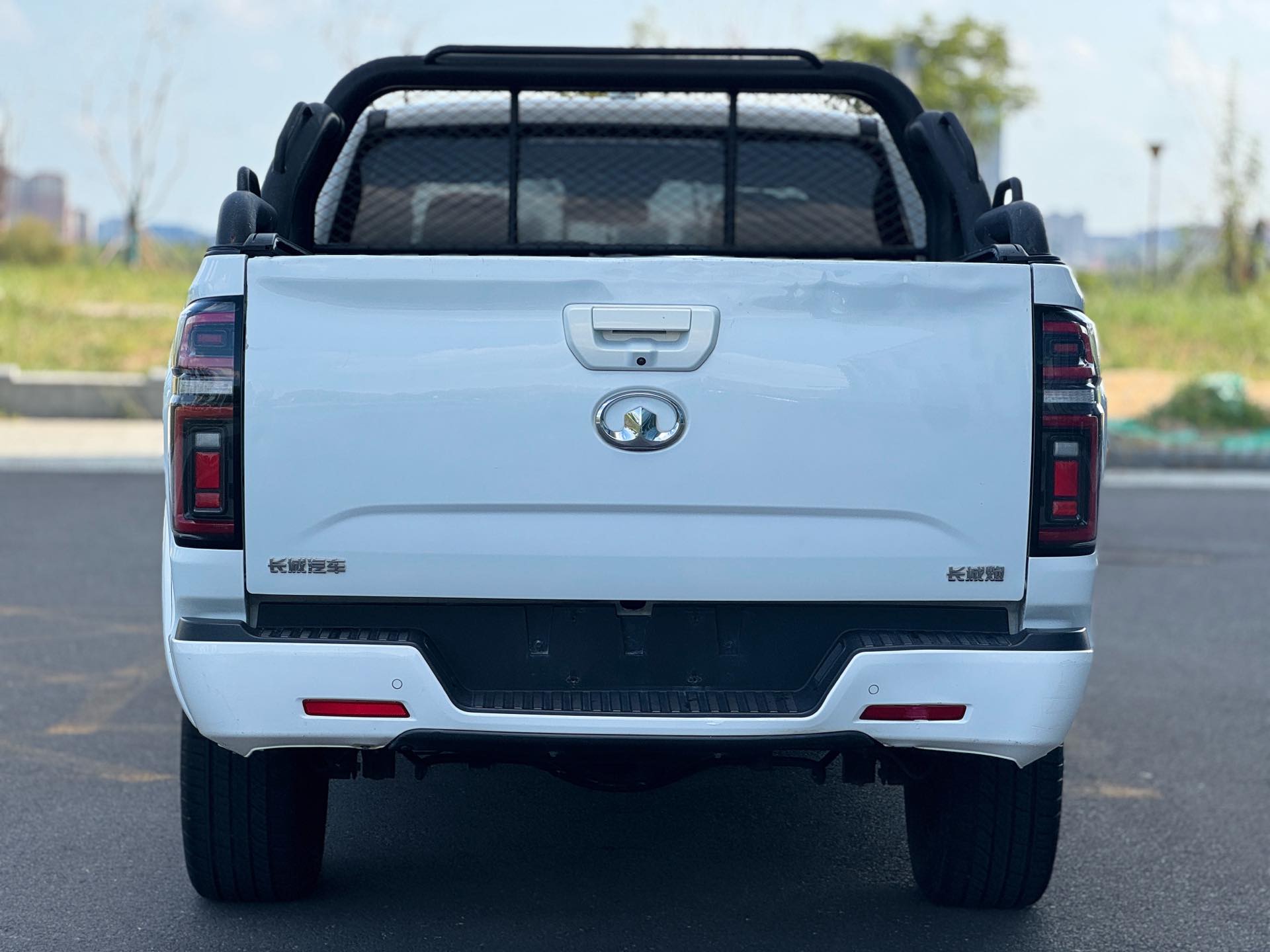 Great Wall POER 2021 Cannon 2.0T Passenger Global Version Diesel 2WD Comfort Standard-Box Version photo 4