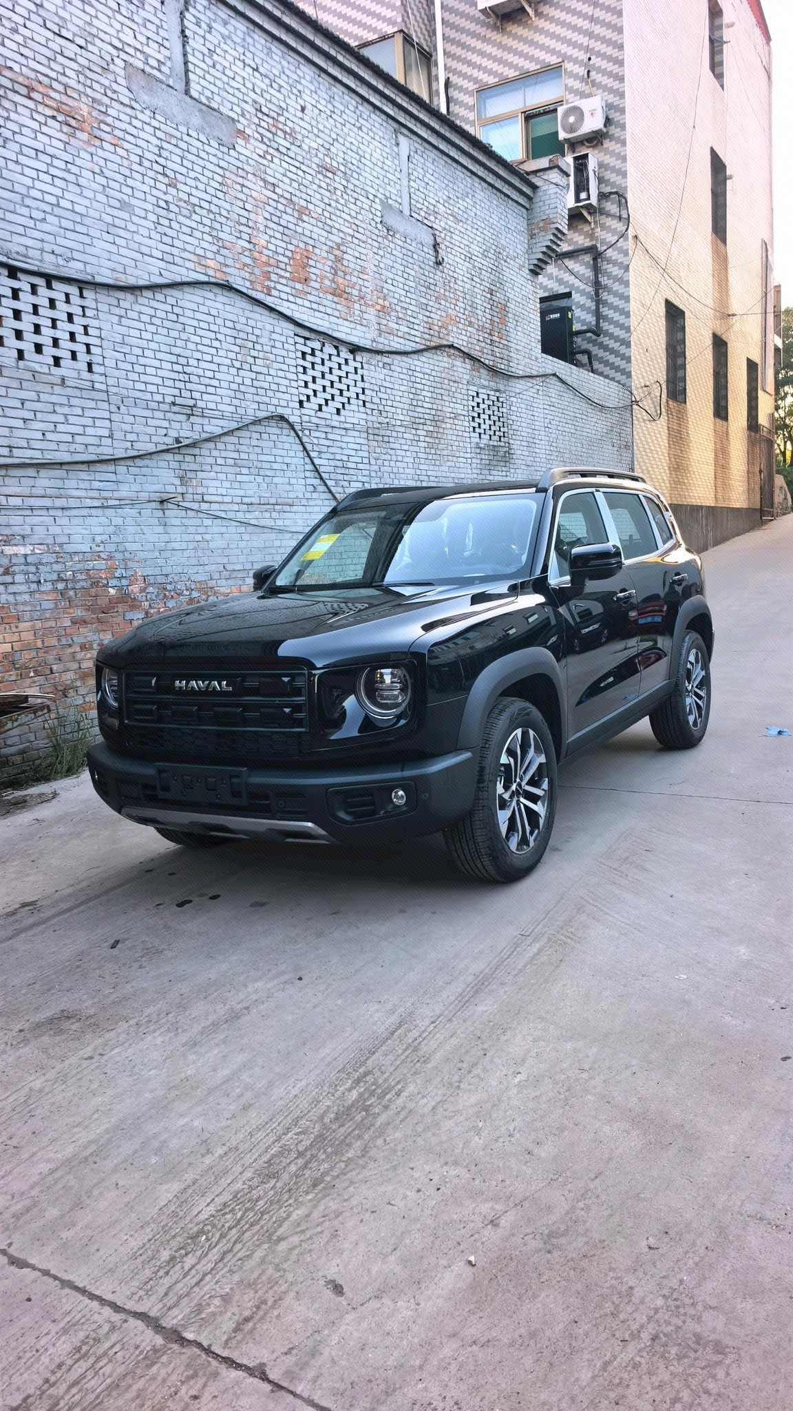 Haval Dargo 2026 Big Dog 1.5T Border Collie Edition