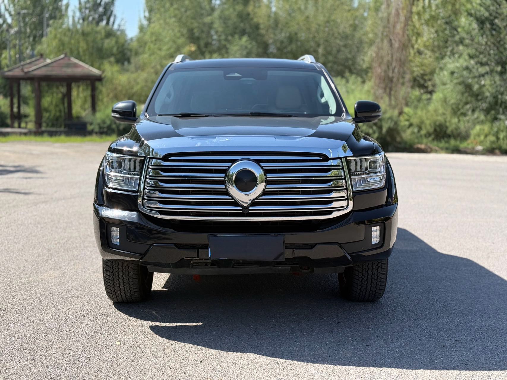 Great Wall SHANHAI CANNON 2023 Shanhai Cannon 2.4T Extreme Journey Edition photo 2