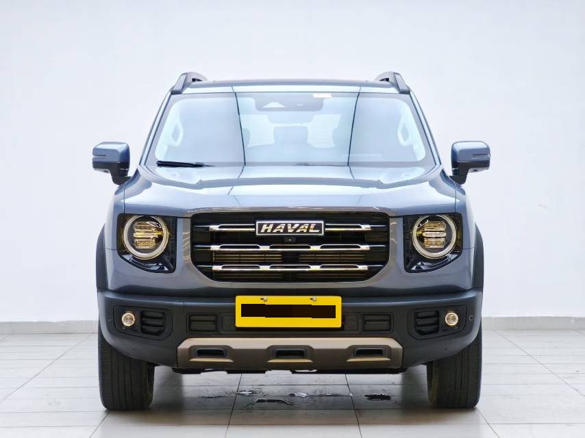 Haval Dargo 2021 Big Dog 1.5T Border Collie “Wang Cai” Edition photo 2