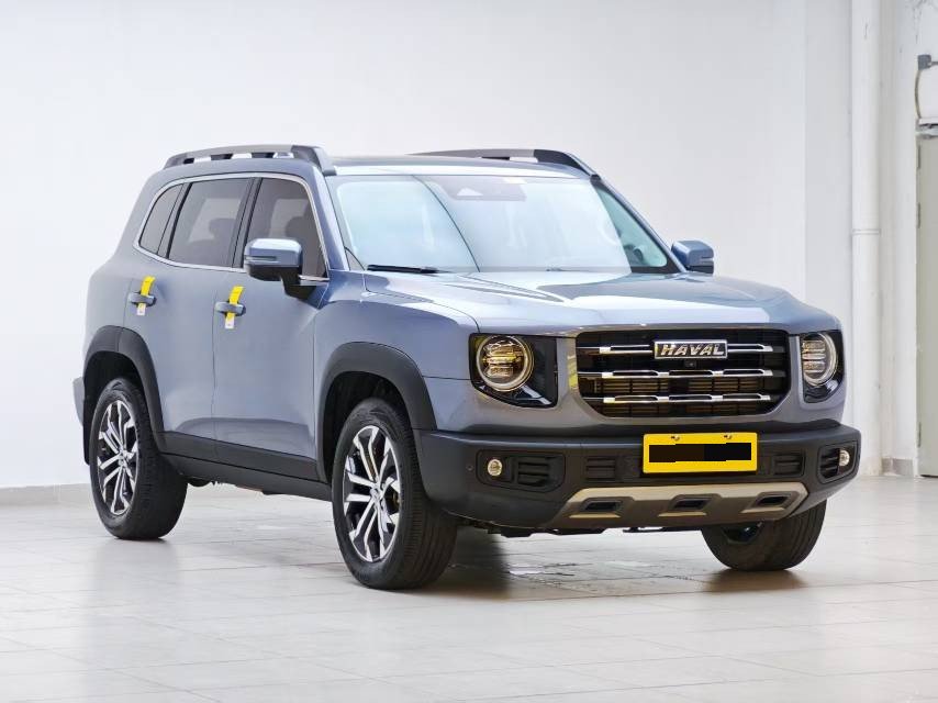 Haval Dargo 2021 Big Dog 1.5T Border Collie “Wang Cai” Edition photo 3