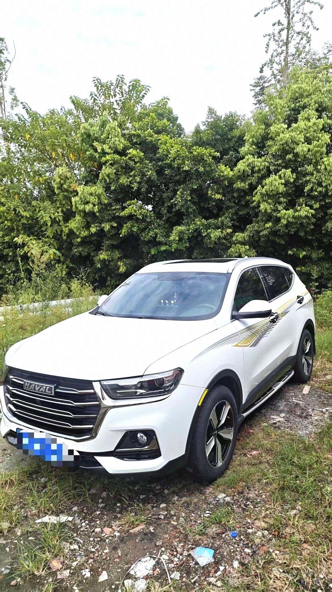 Haval 2021 H6 1.5T National Trend Edition Champion Edition