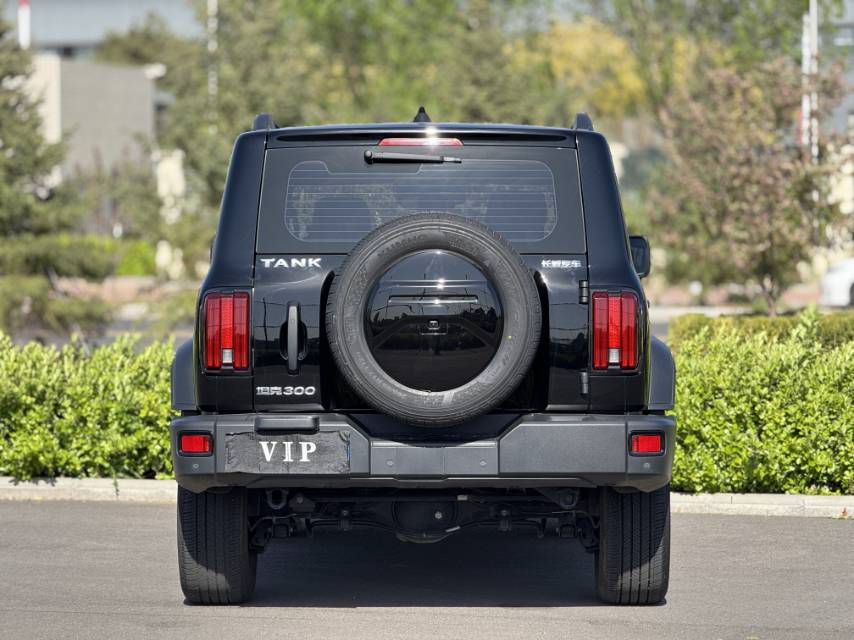 TANK 2023 Tank 300 2.0T Off-Road Edition: The Conqueror photo 5