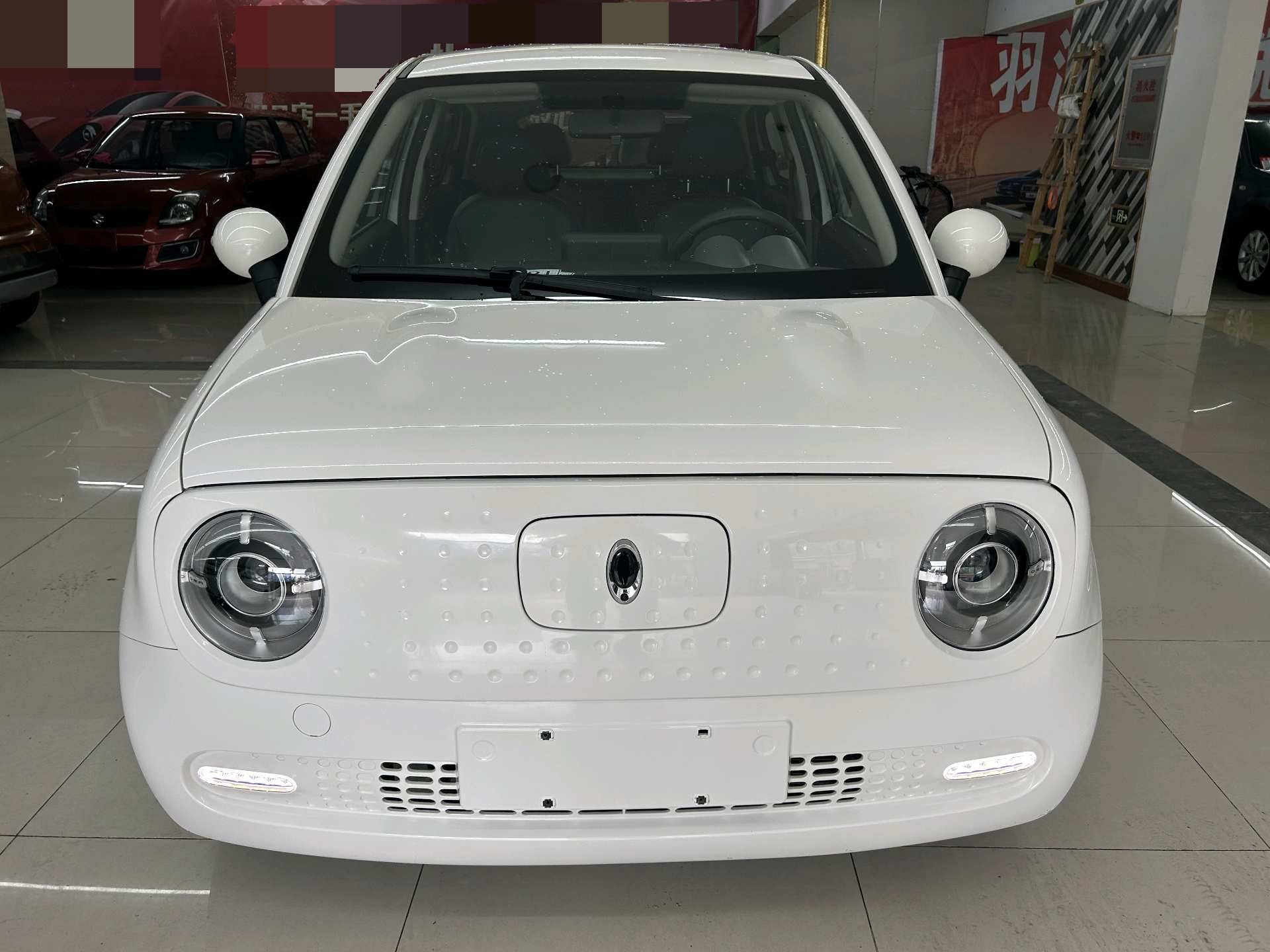 Foto del ORA R1 (Black Cat) 351km Standard Model 2