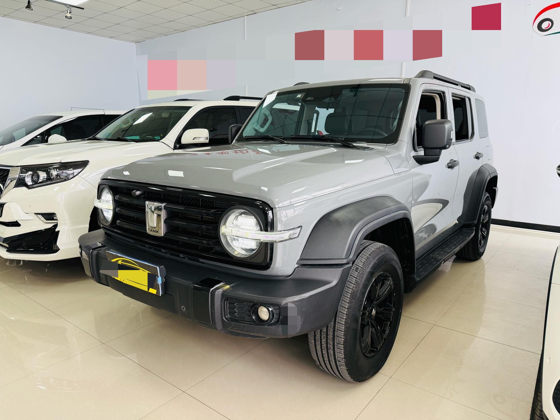 TANK 2021 Tank 300 2.0T Off-Road Edition Conqueror