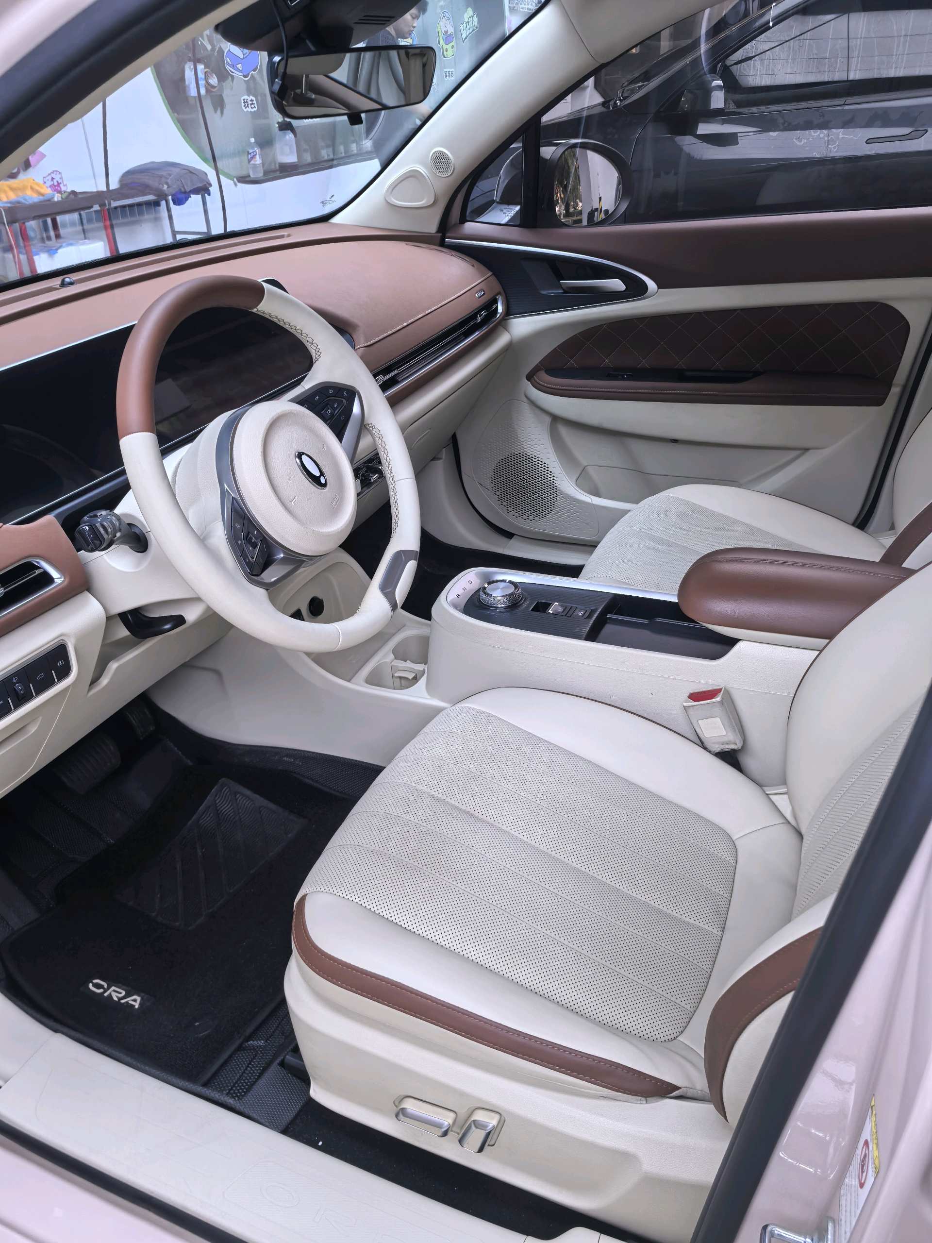 ORA 2022 Ora Good Cat 400km Standard Range Luxury Model with Lithium Iron Phosphate Battery photo 4