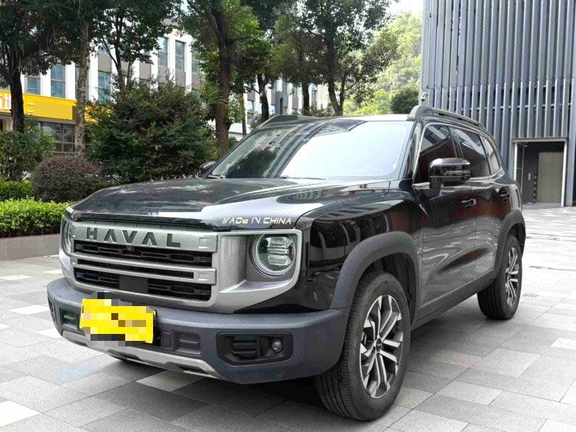 Haval Dargo 2024 Big Dog 1.5T Border Collie Edition