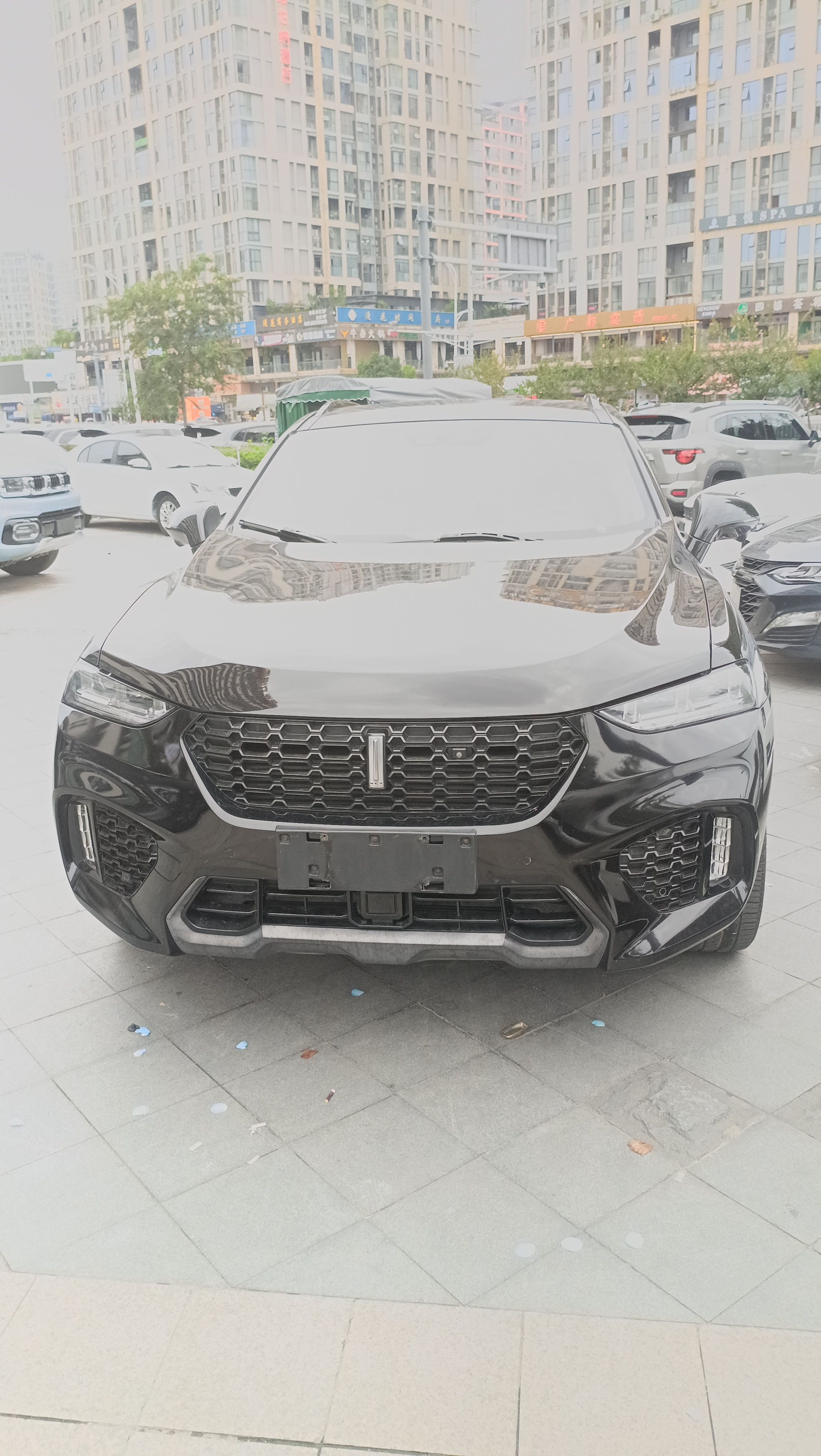 WEY 2019 VV7 2.0T Flagship Upgraded Model photo 2