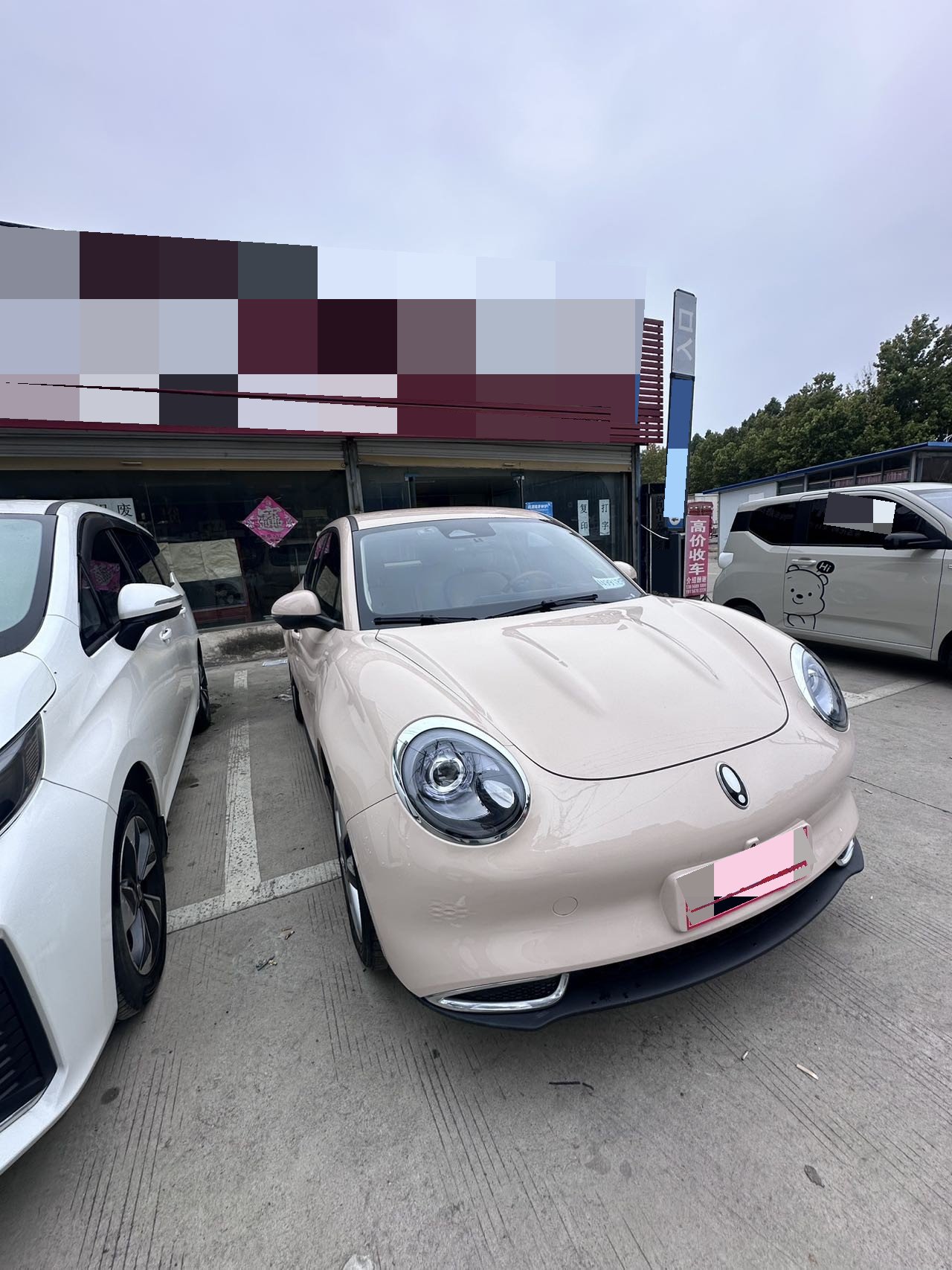 ORA Ora Good Cat 400km Standard Range Luxury Trim with Ternary Lithium Battery photo 2