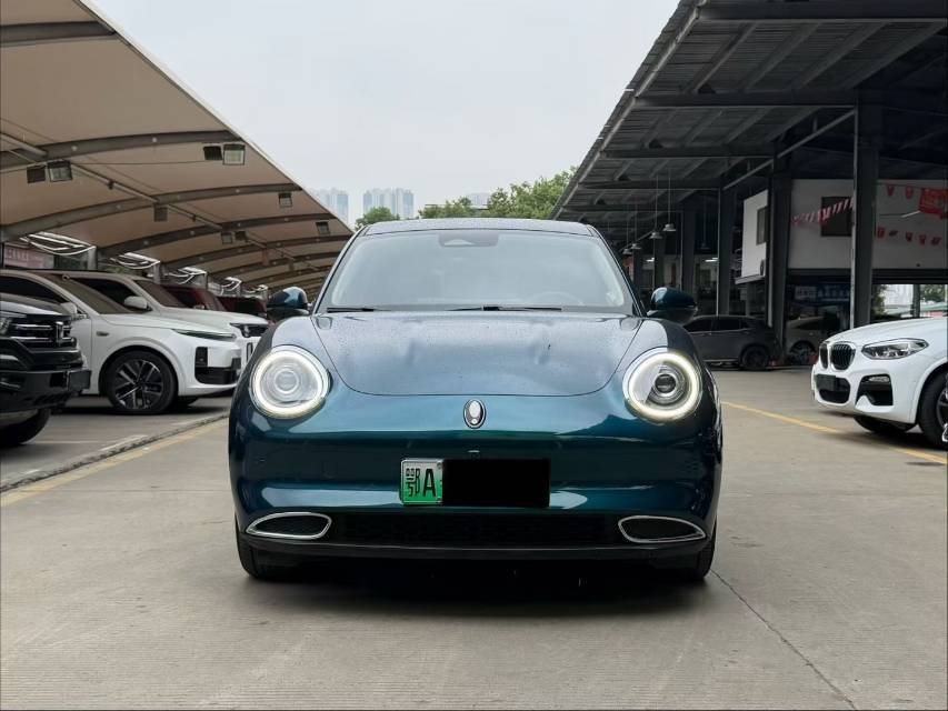 ORA 2022 Good Cat Morandi Edition, 400 km Standard Range, Prestige Model, Ternary Lithium photo 2