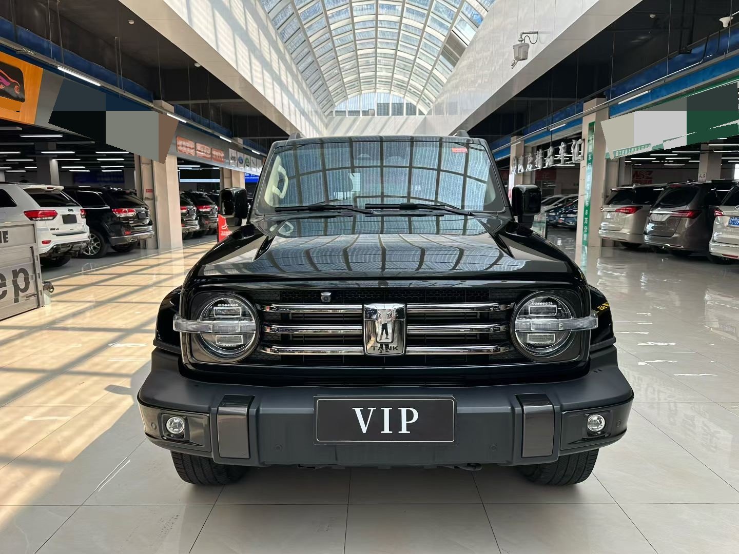 TANK 2021 Tank 300 2.0T Urban Edition—So Stylish photo 2