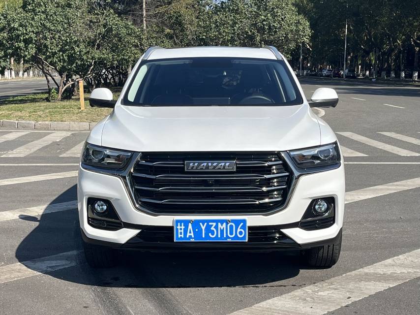 Haval 2021 H6 1.5T National Trend Edition Champion Edition photo 3