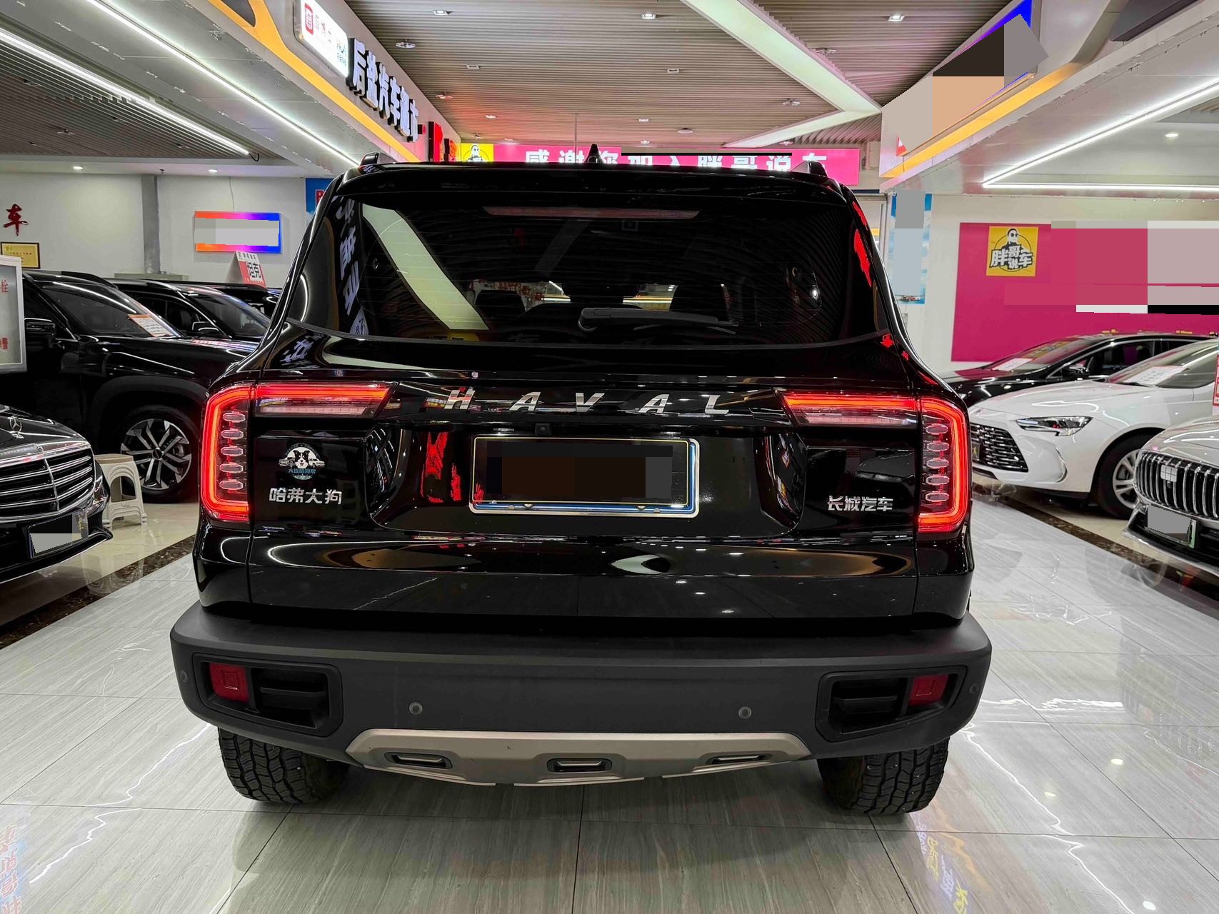 Foto del Haval Dargo 2021 Big Dog 1.5T Border Collie “Wang Cai” Edition 2
