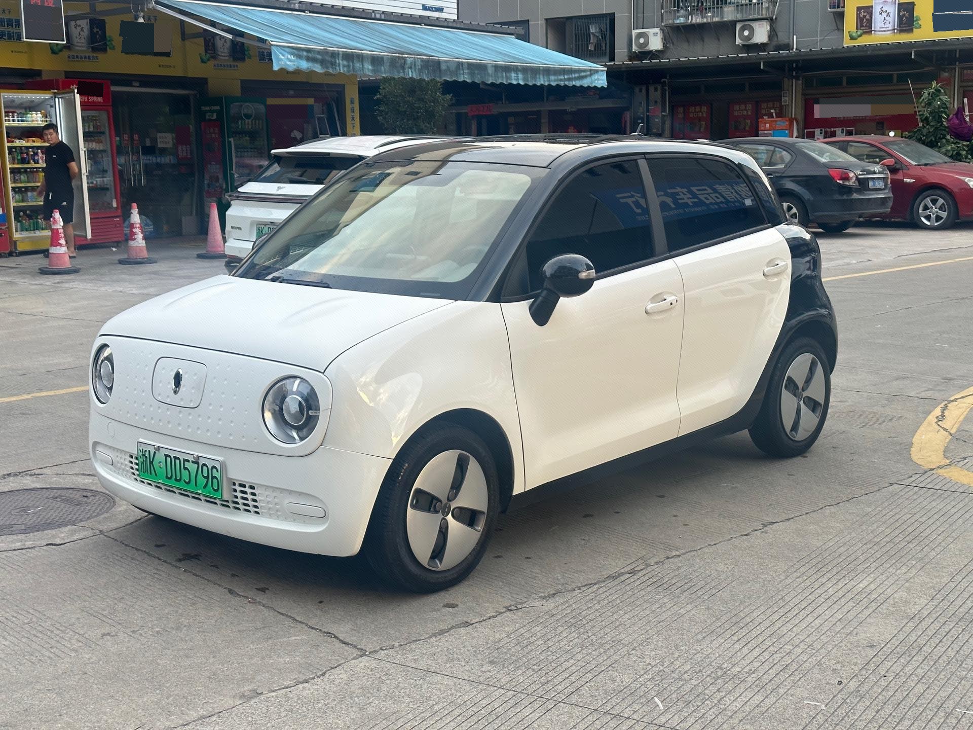 ORA 2019 R1 (Black Cat) 301 km standard version, lithium iron phosphate