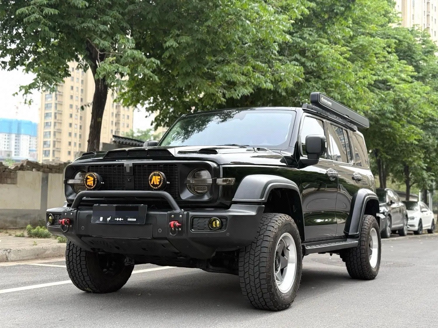 TANK 2021 Tank 300 2.0T Off-Road Edition Conqueror