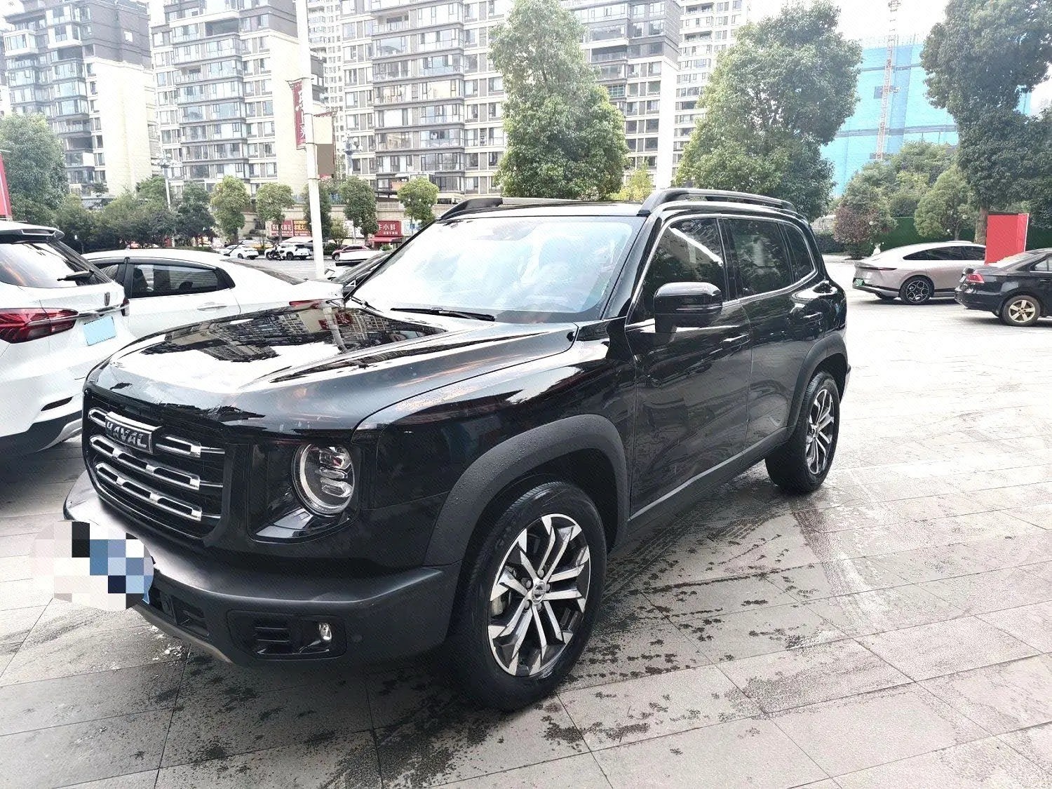 Haval Dargo 2022 Tank 300 1.5T 2WD Border Collie Edition
