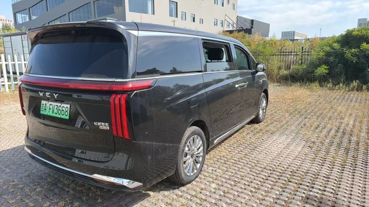 صورة WEY 2025 Gaoshan 8 Hi4 1.5T Four-Wheel Drive Version رقم 5