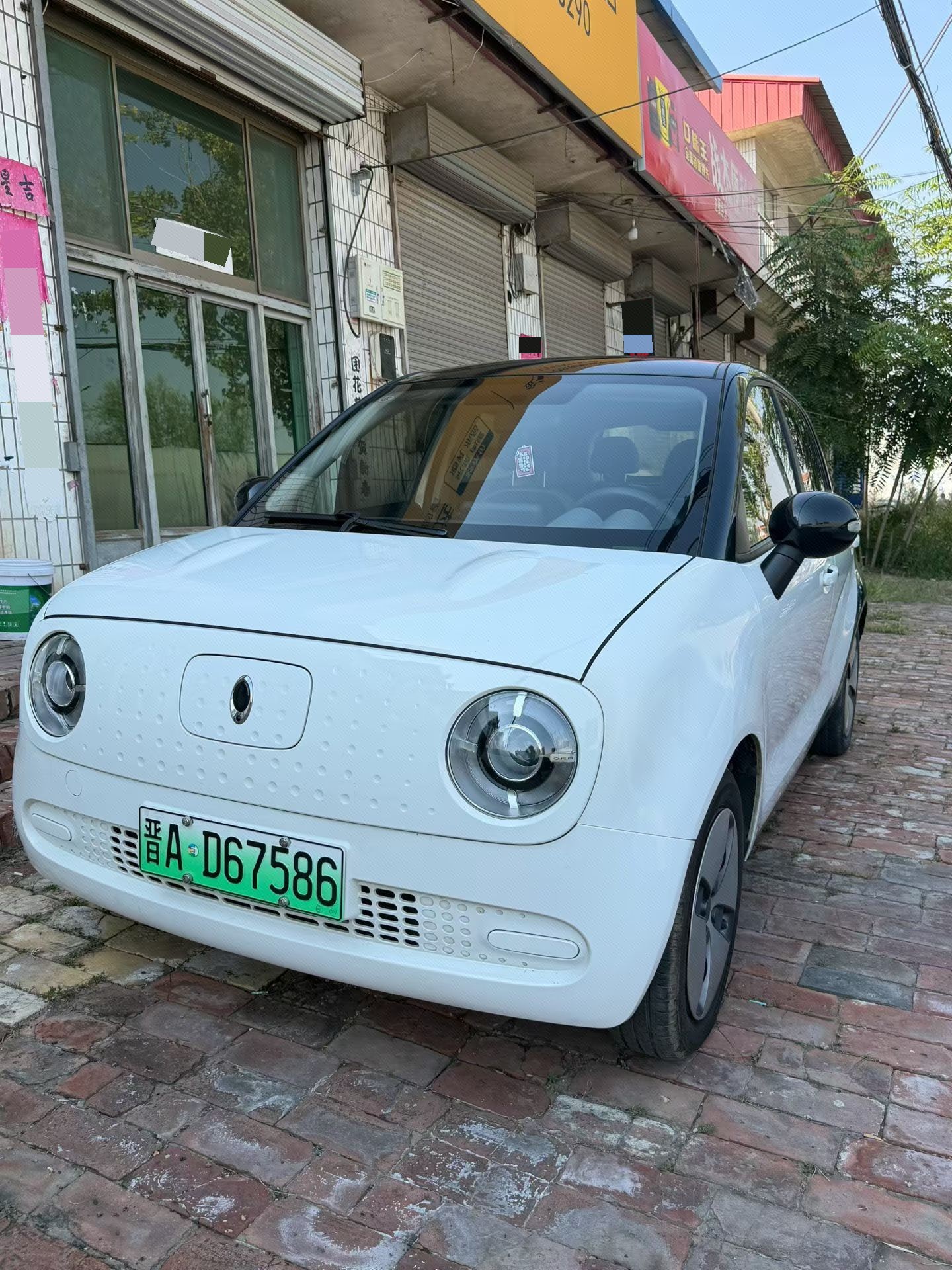 ORA 2021 R1 (Black Cat) 301 km Pet Edition