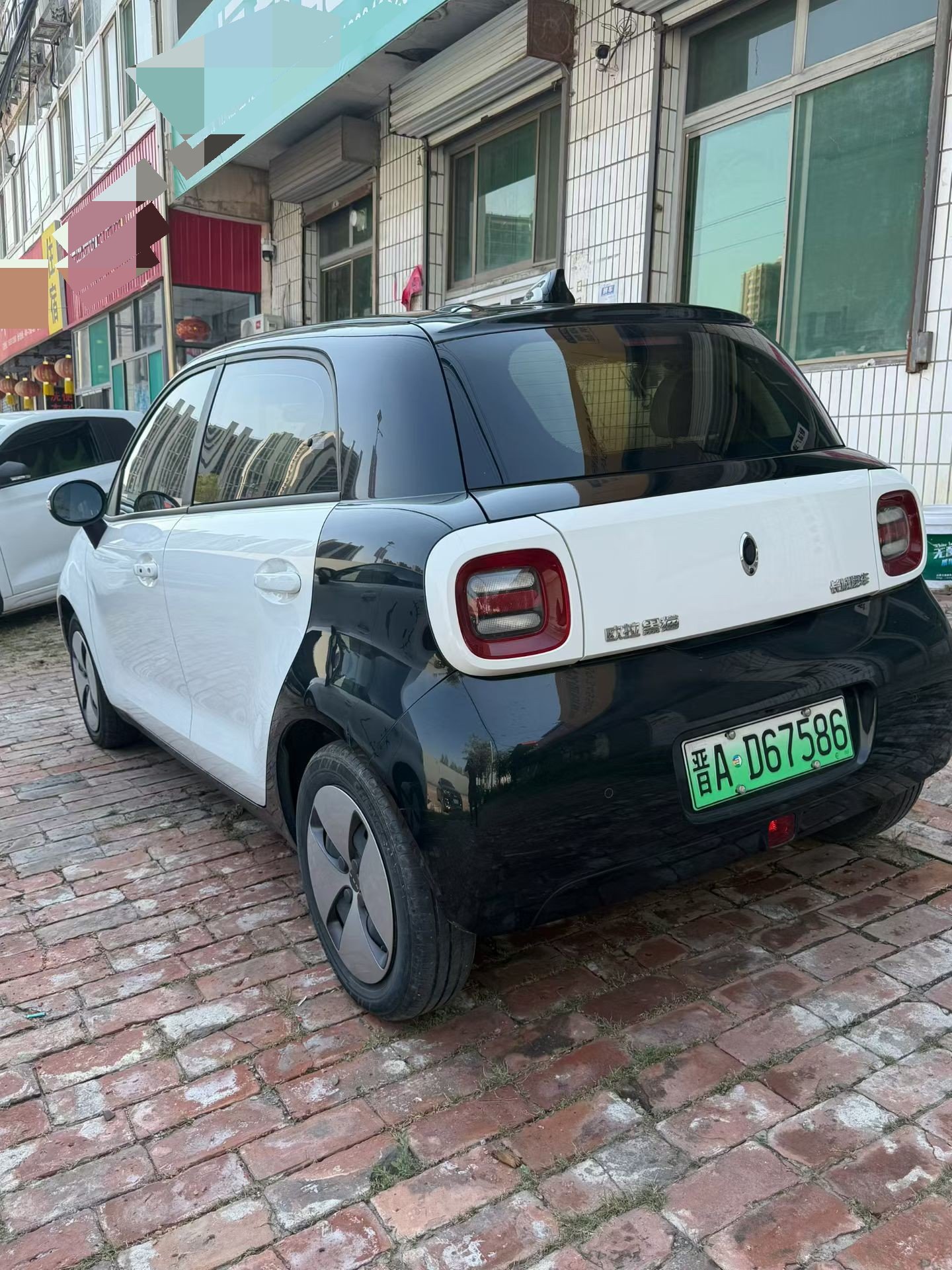 ORA 2021 R1 (Black Cat) 301 km Pet Edition photo 4