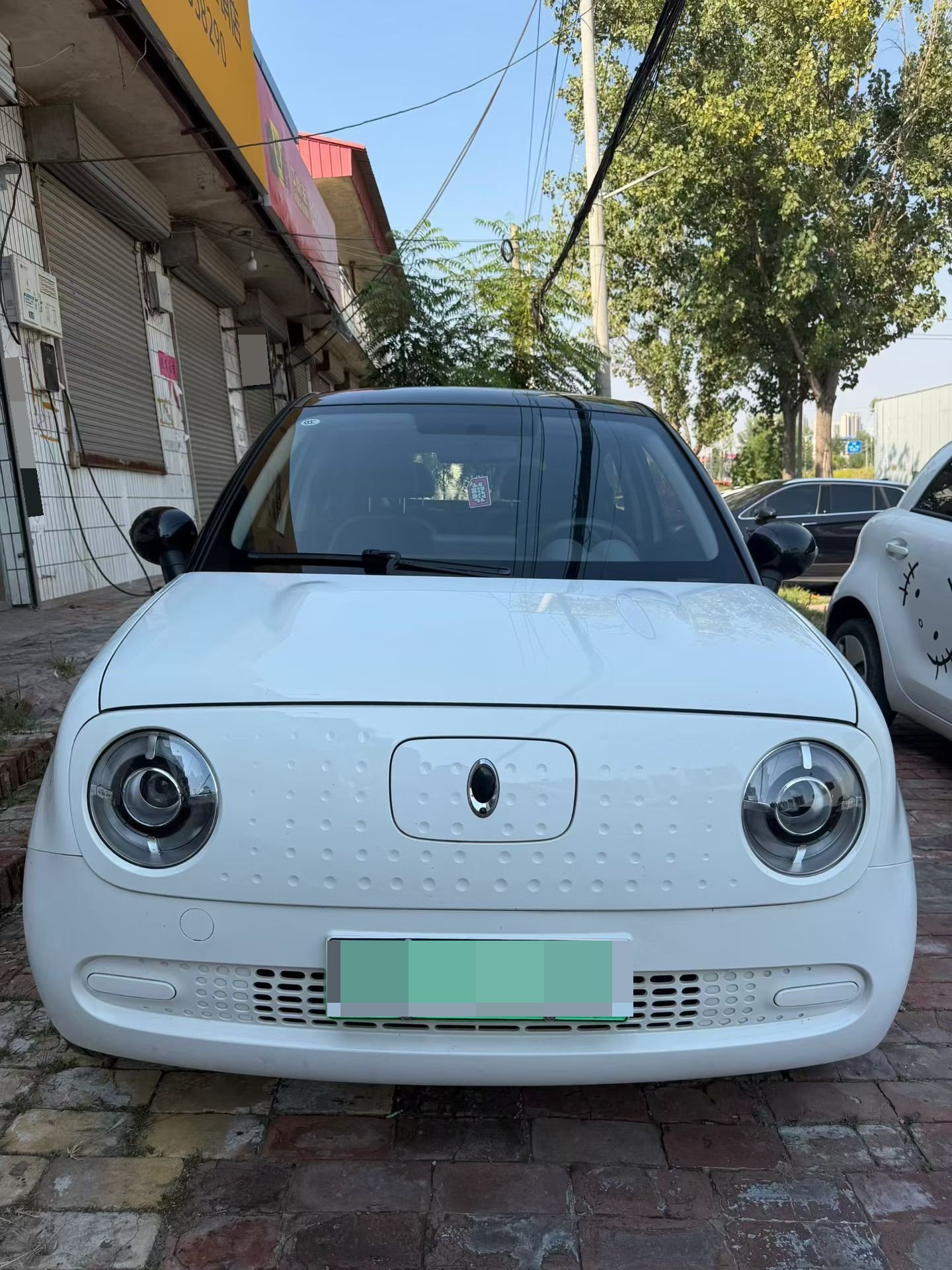 ORA 2021 R1 (Black Cat) 301 km Pet Edition photo 2