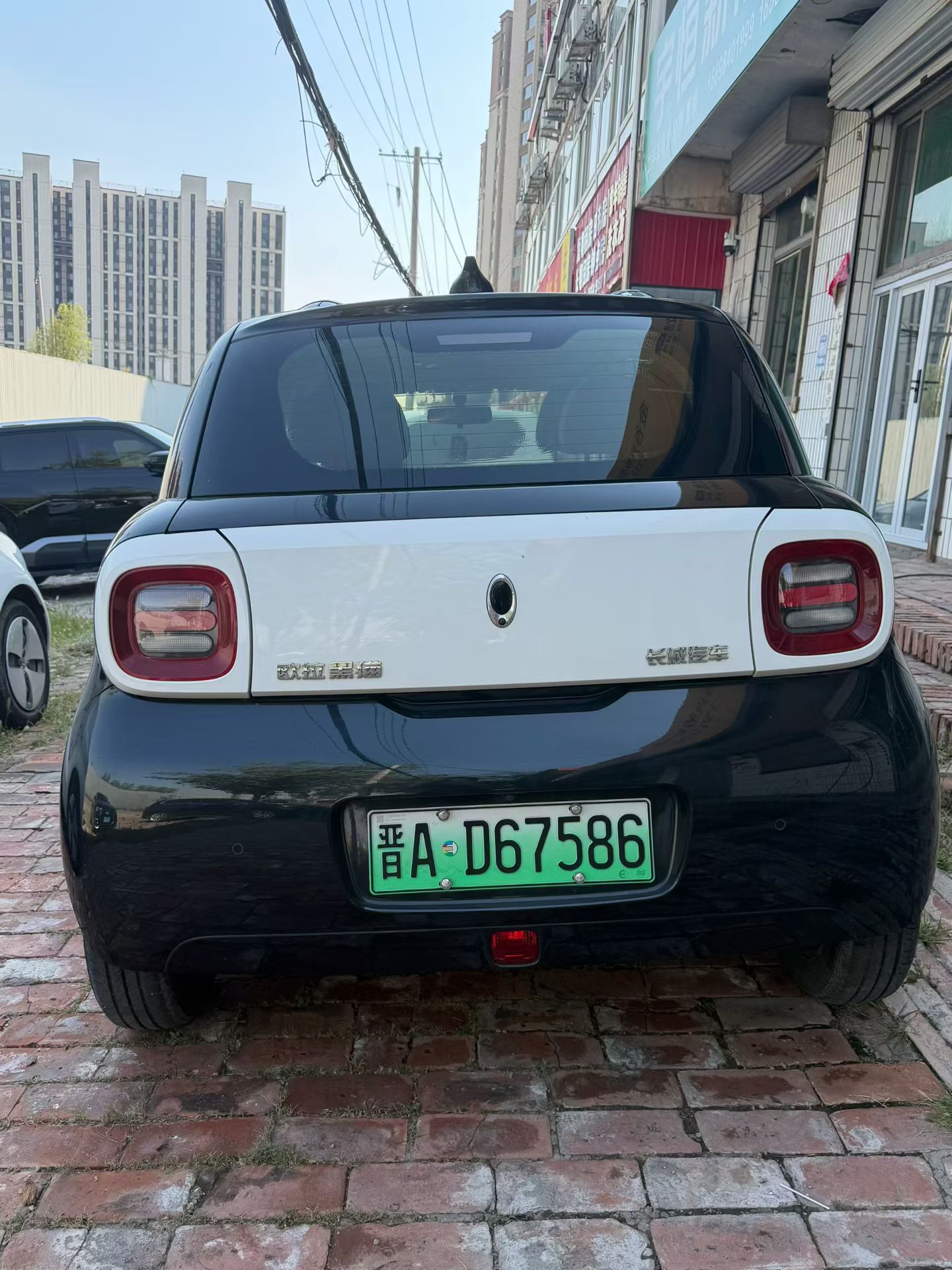 ORA 2021 R1 (Black Cat) 301 km Pet Edition photo 3