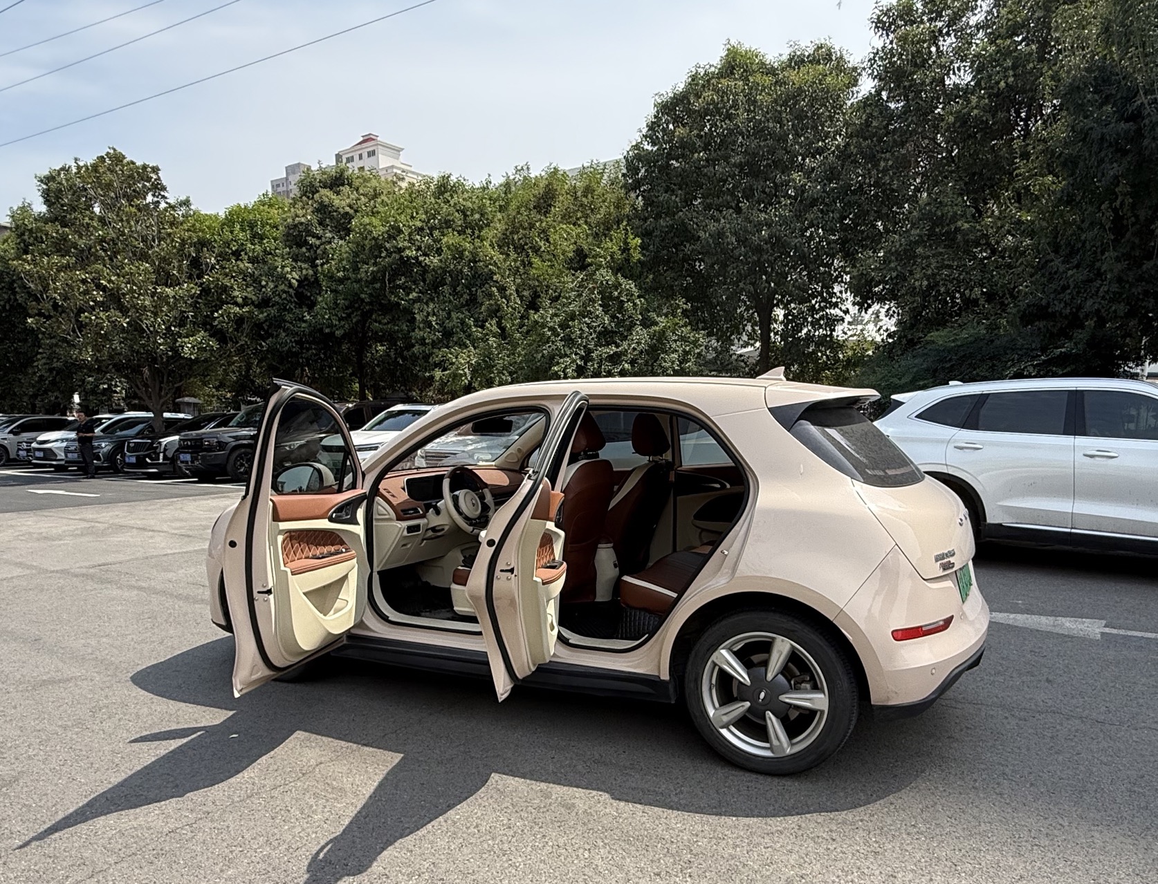 ORA 2022 Good Cat Morandi Edition 400km Standard Range Luxury Model, Ternary Lithium photo 2