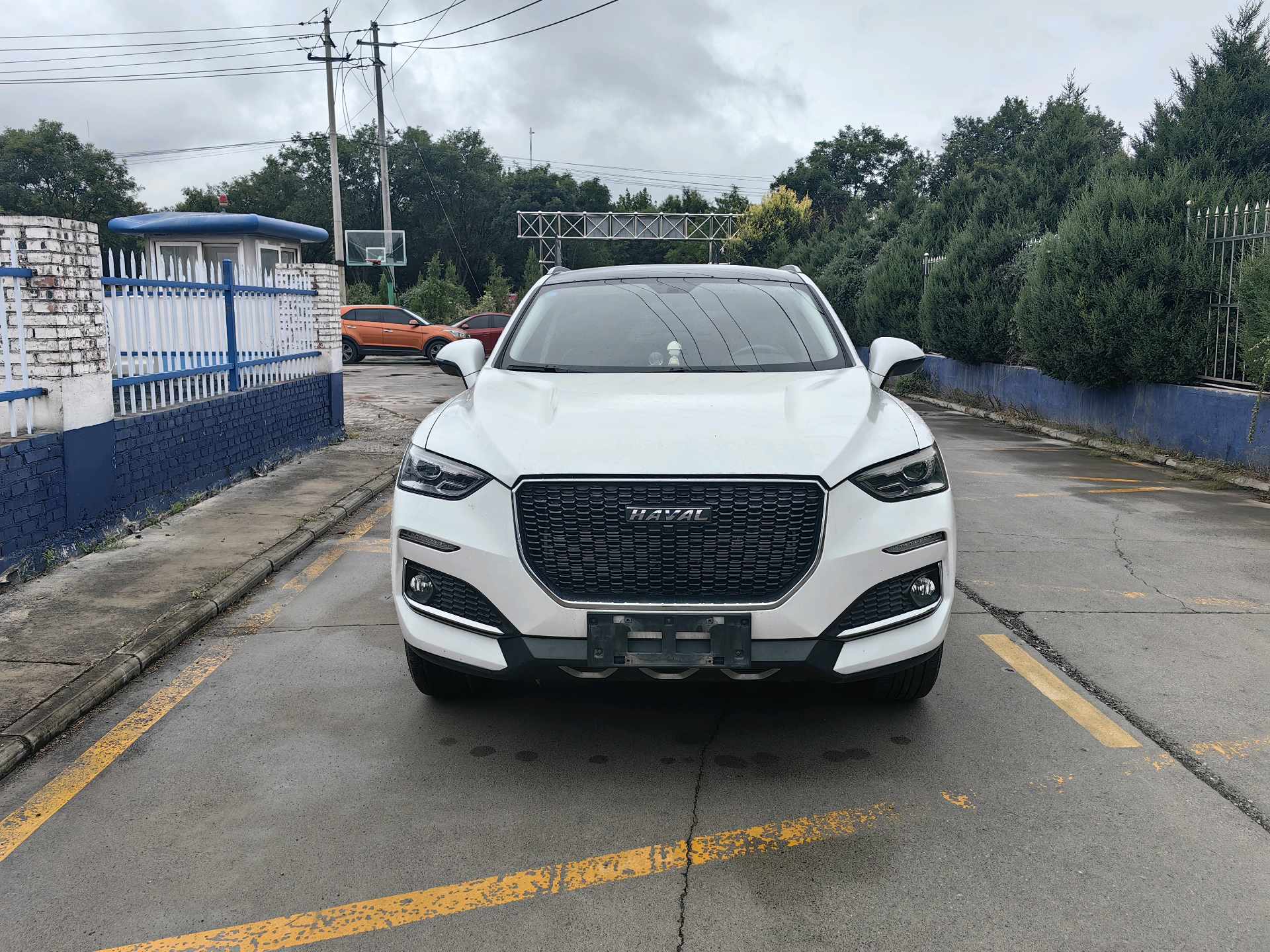 Haval 2020 F5 1.5T i-Sporty photo 2