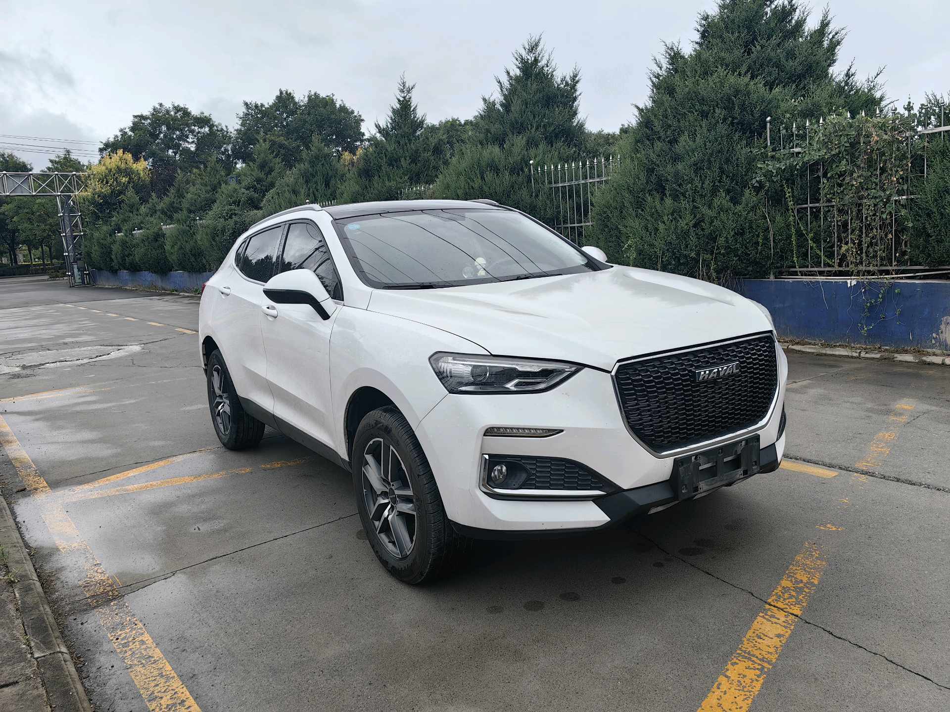 Haval 2020 F5 1.5T i-Sporty photo 3