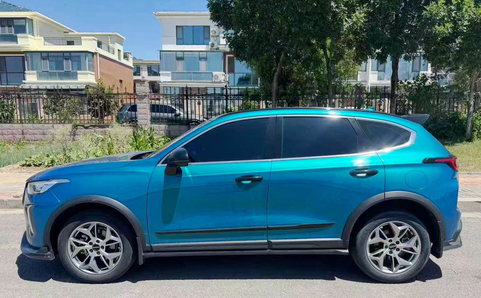 Haval Red Hare 2022 Chitu 1.5T Jinxing Edition Copper Rabbit photo 3