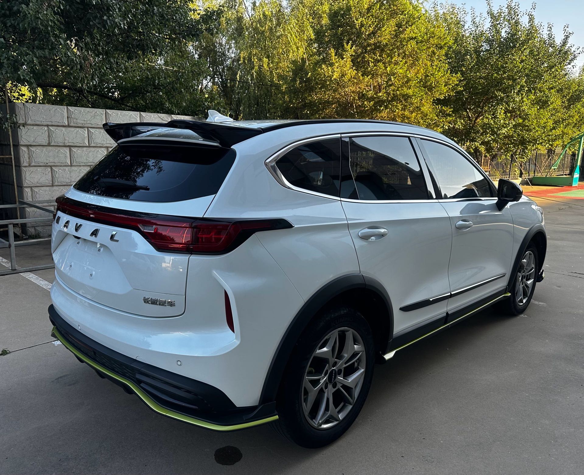 صورة Haval Red Hare Chitu 1.5T Jinxing Edition Copper Rabbit رقم 4