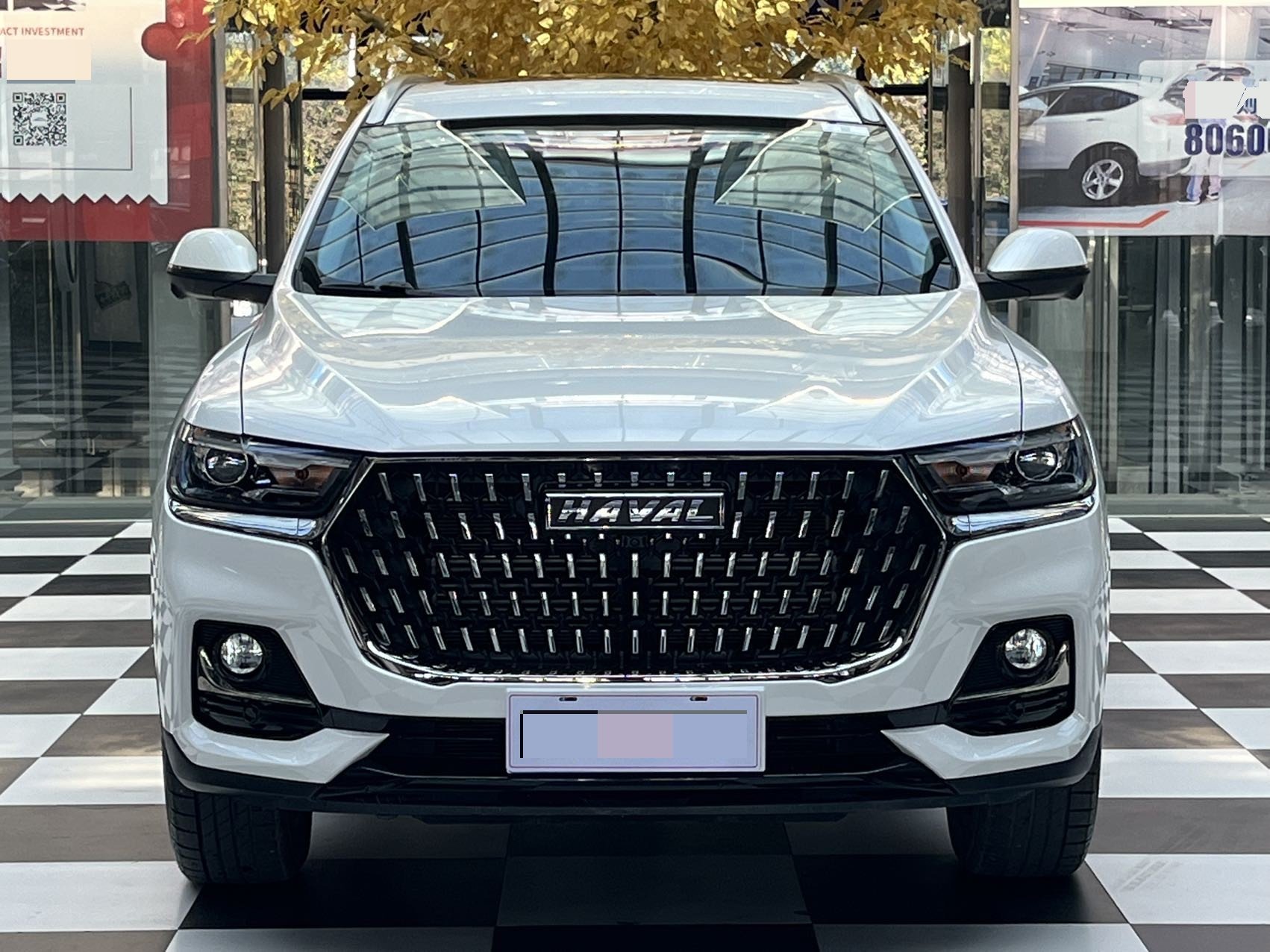 Haval H6 1.5T National Trend Edition Champion Version photo 2