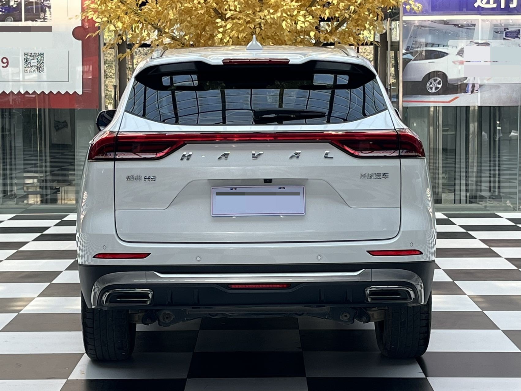 Haval H6 1.5T National Trend Edition Champion Version photo 5
