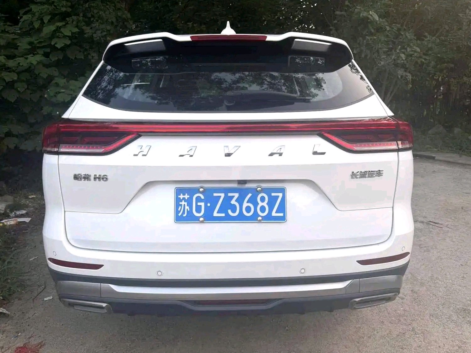 صورة Haval 2021 H6 1.5T National Trend Edition Champion Edition رقم 5