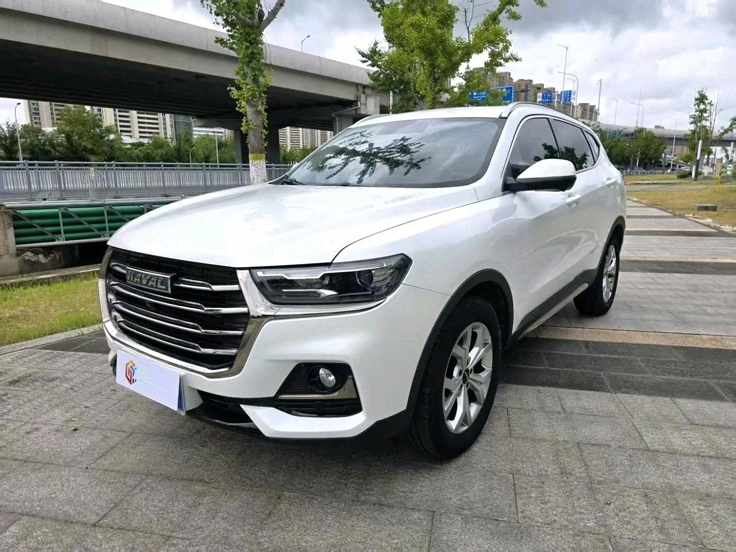 Haval 2021 H6 1.5T National Trend Edition Champion Edition