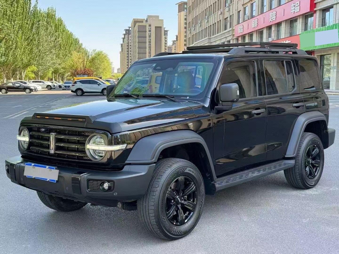 TANK 2021 Tank 300 2.0T Off-Road Edition Conqueror