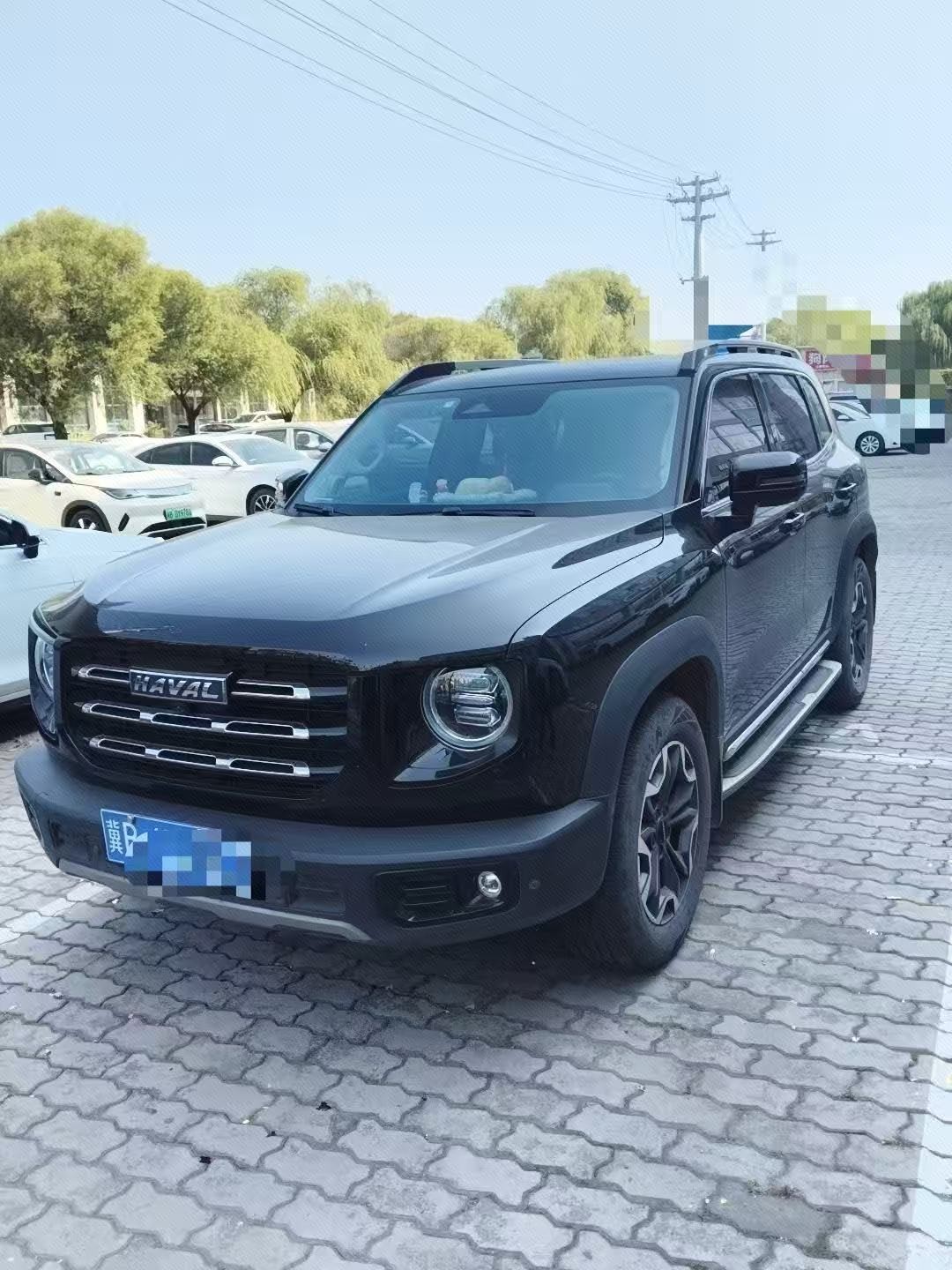 Haval Dargo 2022 Big Dog 2.0T 4WD Chinese Village Dog Hunting Edition