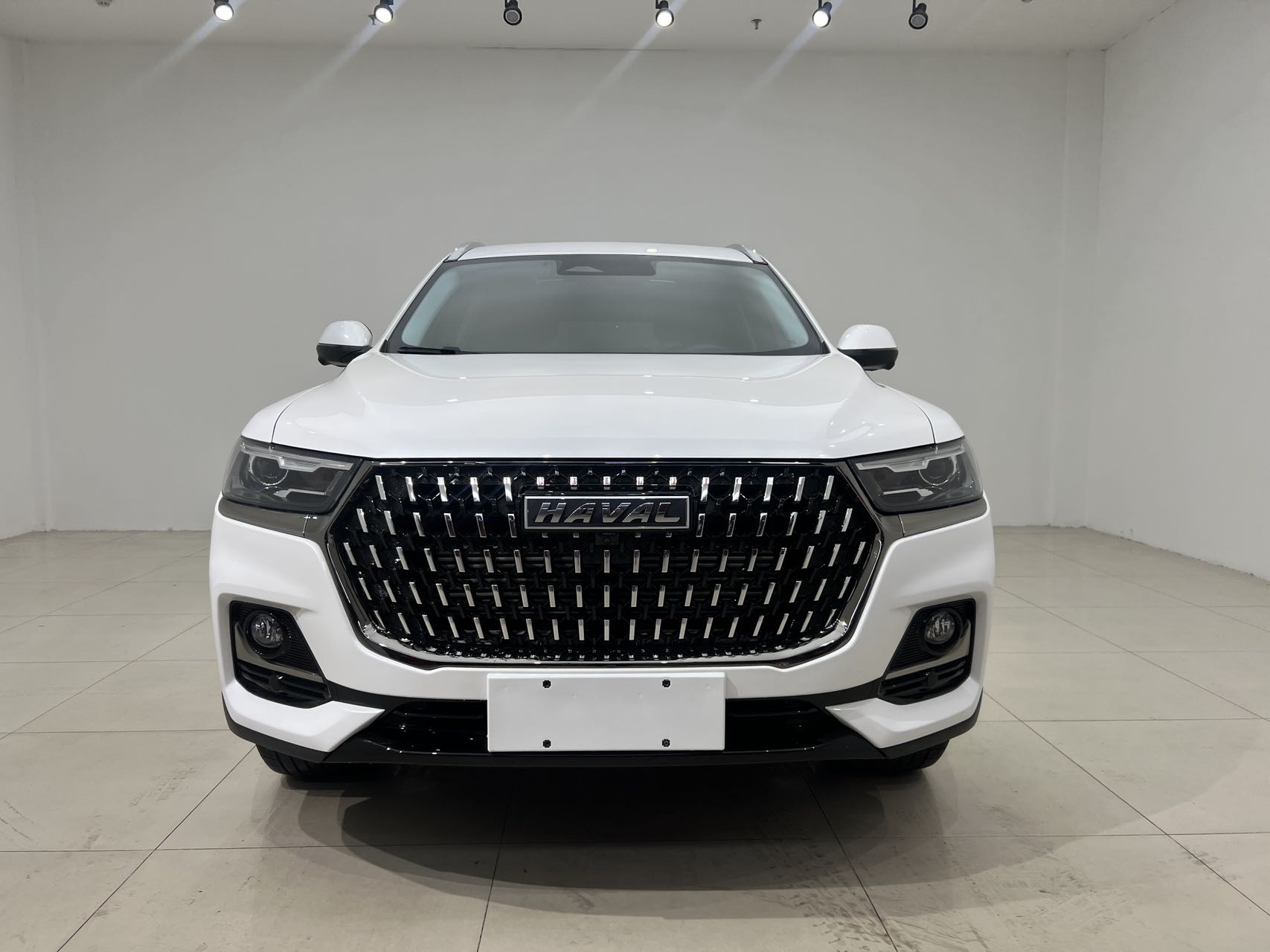 Haval 2023 H6 1.5T National Trend Edition Champion Version photo 2