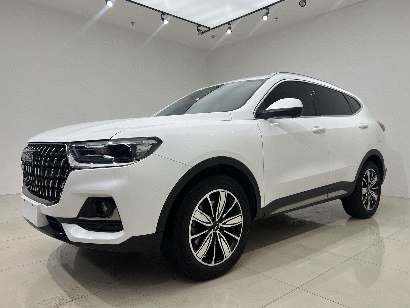 Haval 2023 H6 1.5T National Trend Edition Champion Version
